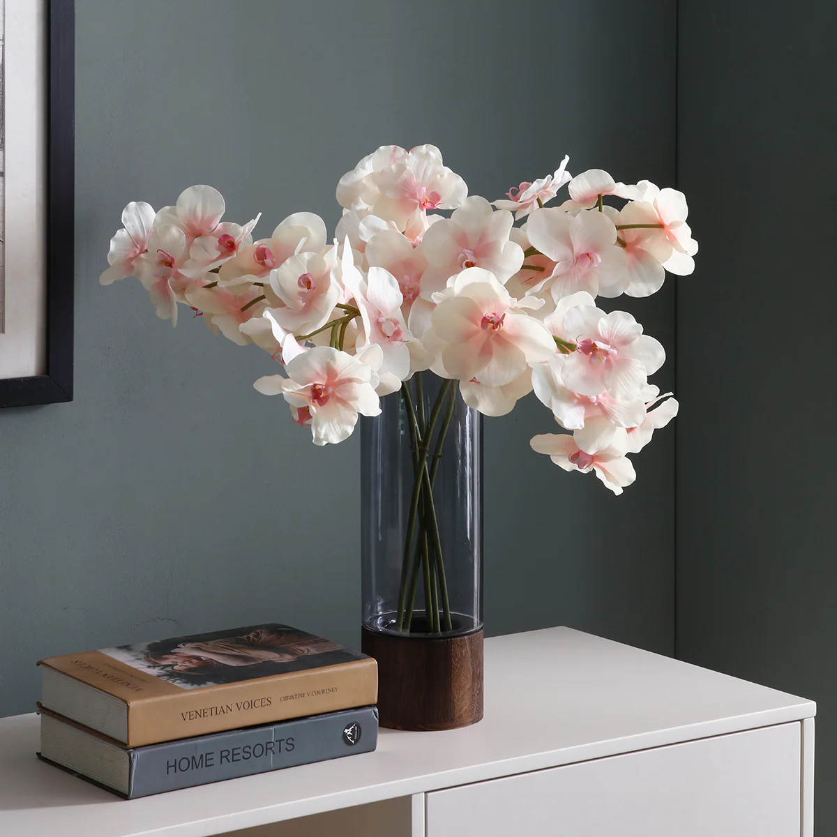 Tige d'Orchidée Phalaenopsis - Image 5