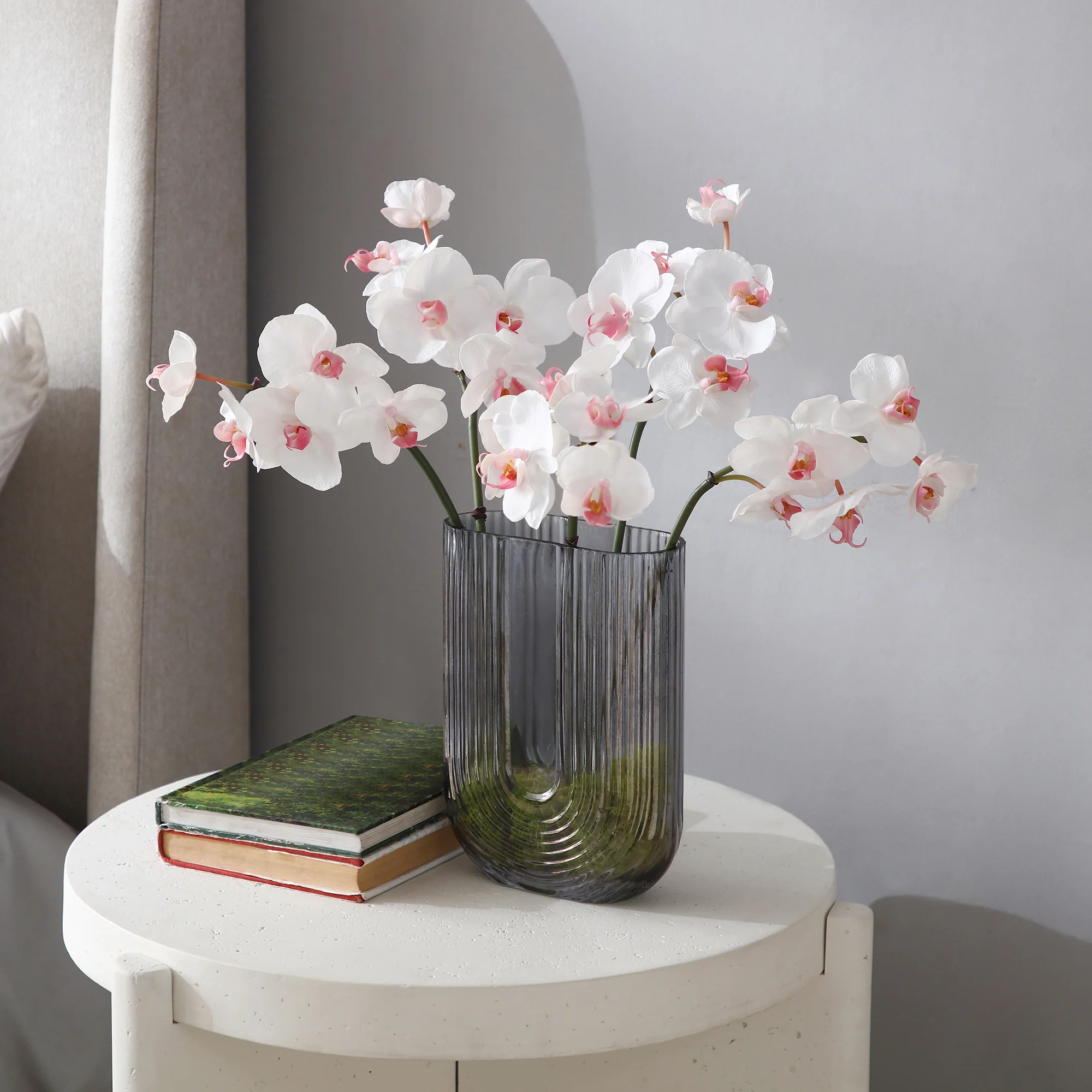Tige d'Orchidée Phalaenopsis - Image 3