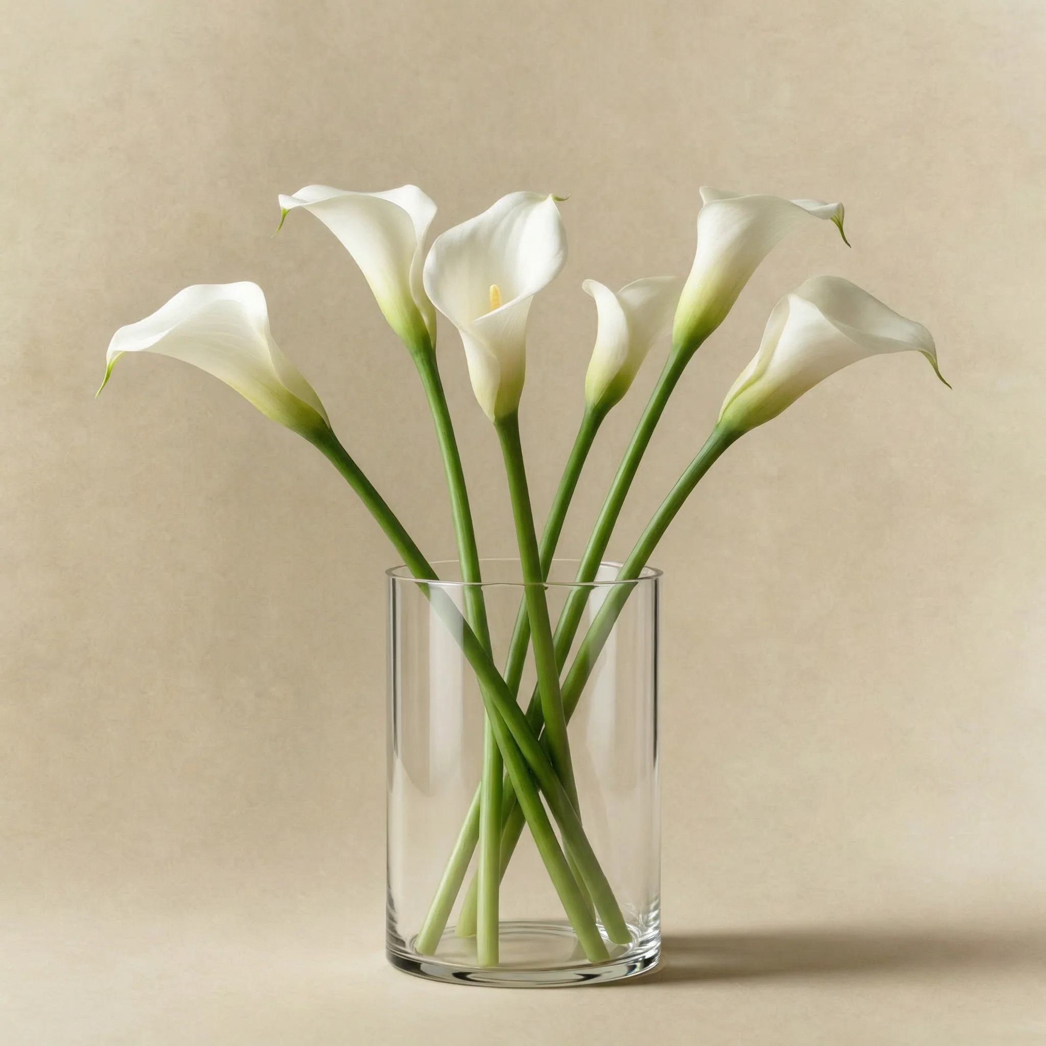 Photophore Halo transparent 12 cm - Image 4