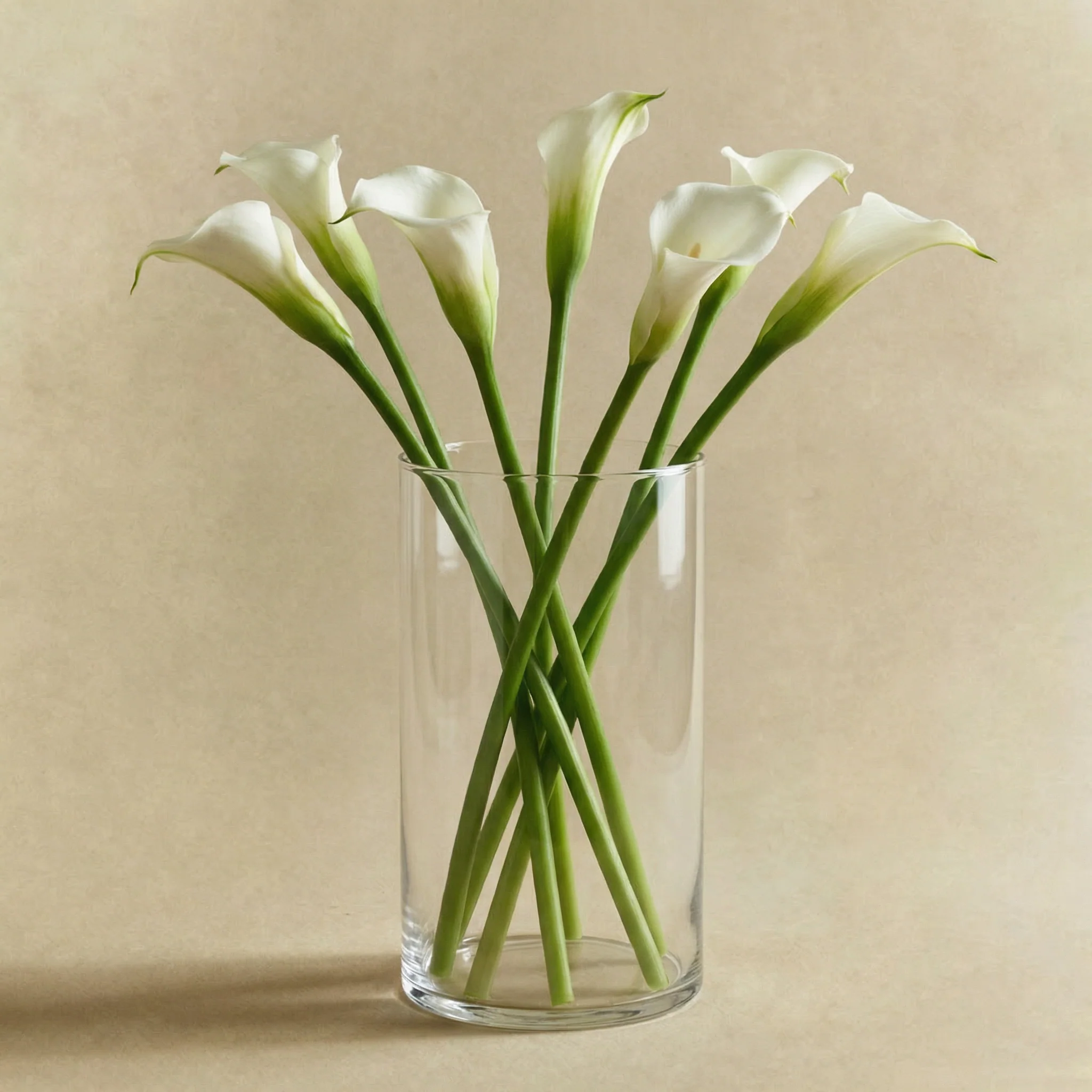 Photophore Halo transparent 16 cm - Image 3
