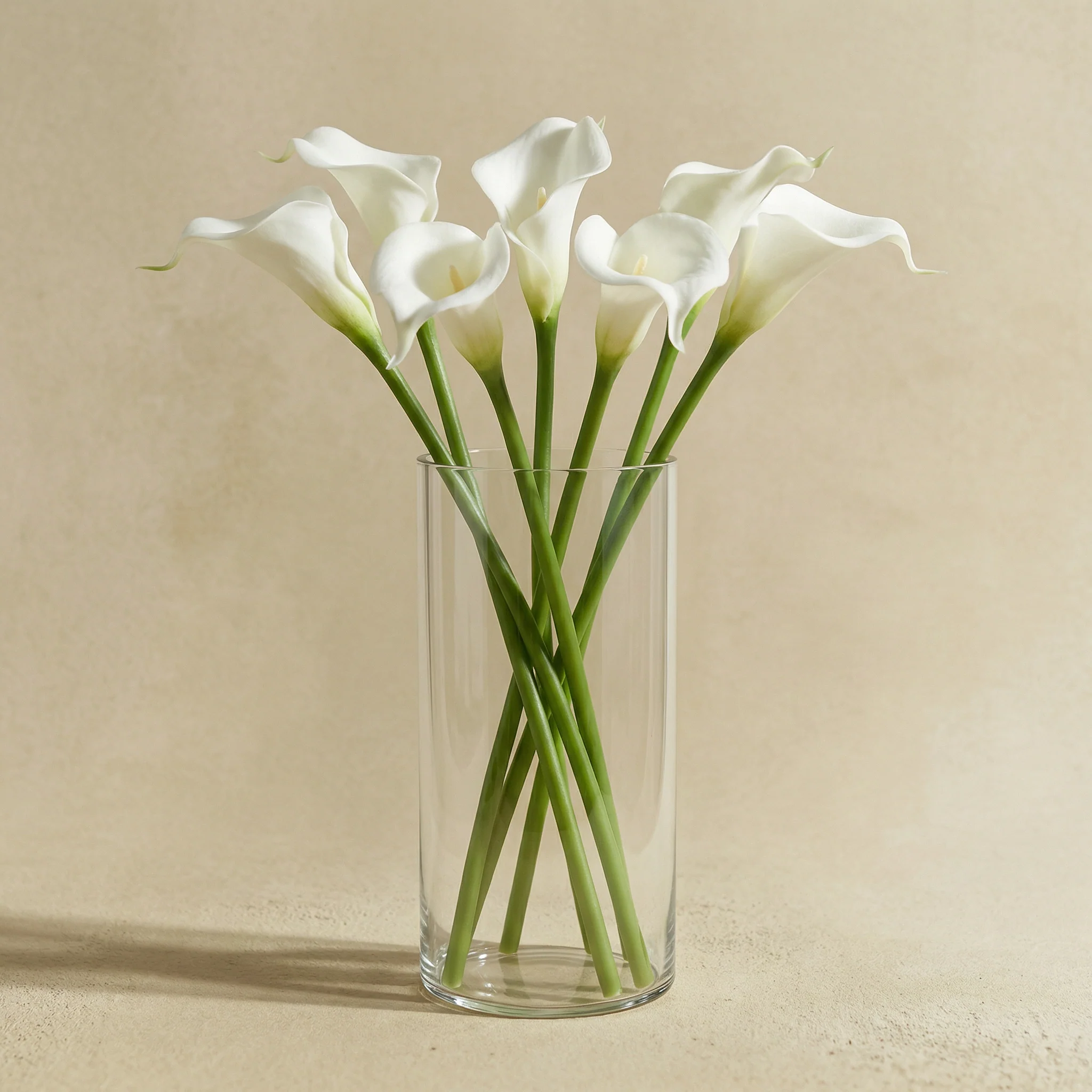 Photophore Halo transparent 20 cm - Image 3