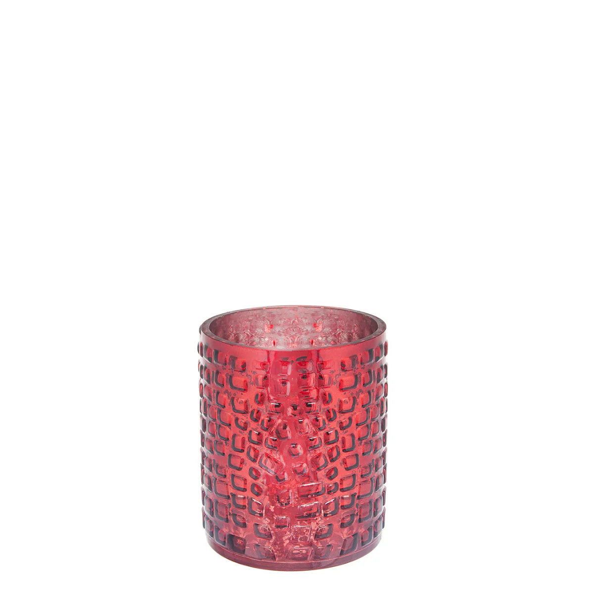 Photophore Lizard Grand Format