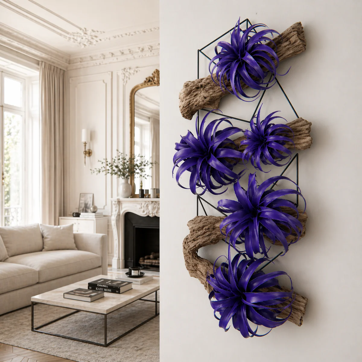 Feuillage de Tillandsia à piquer - Image 3
