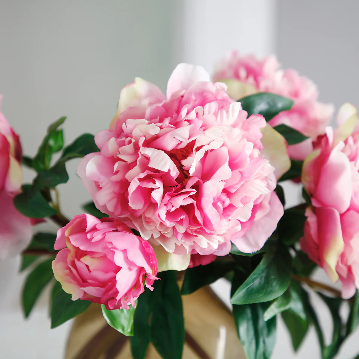 Tige de Pivoine - Image 12
