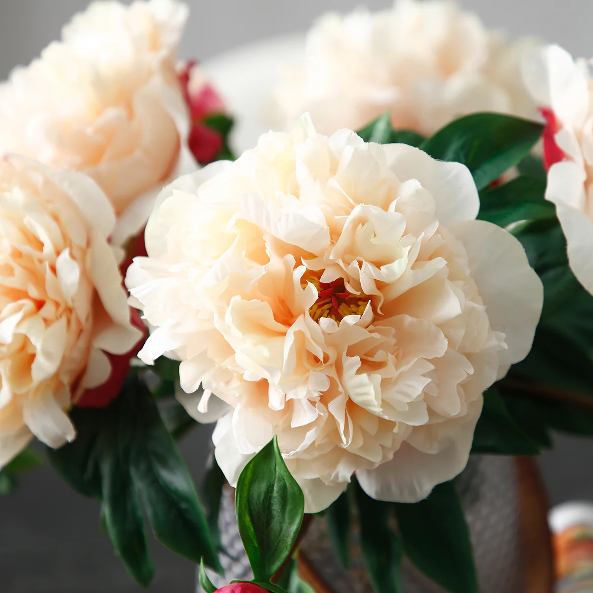 Tige de Pivoine - Image 19