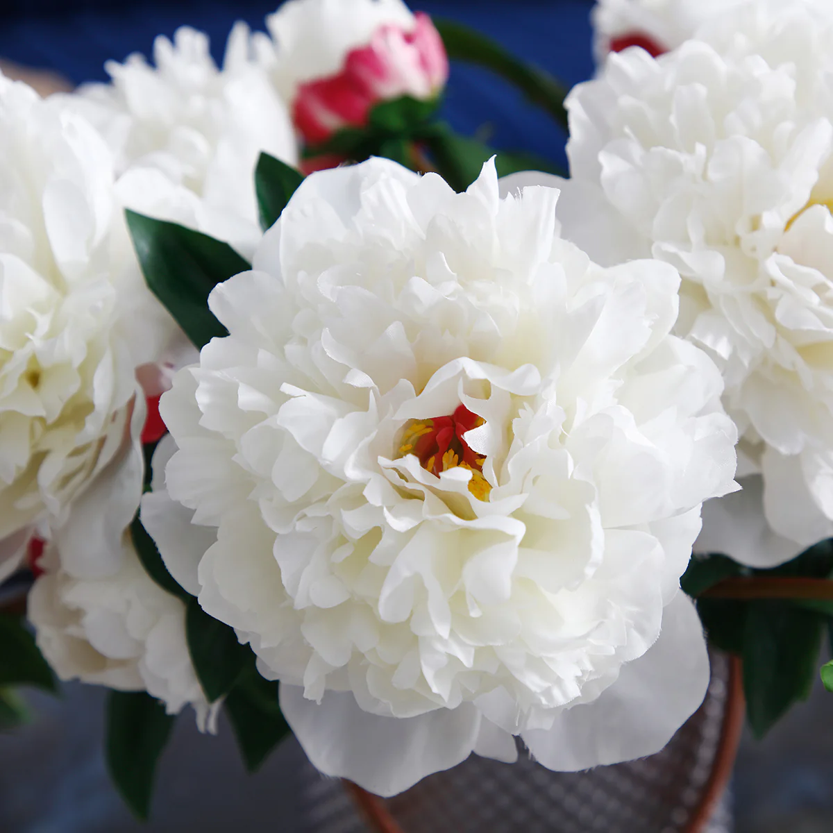 Tige de Pivoine - Image 4