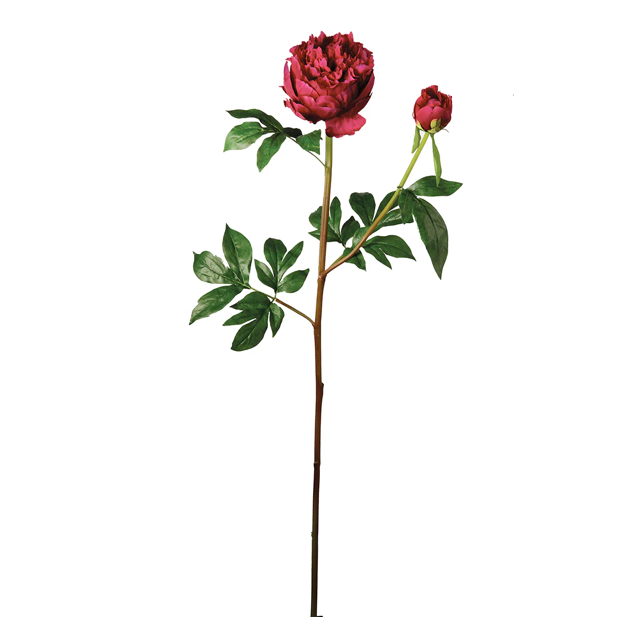 Miniature 1