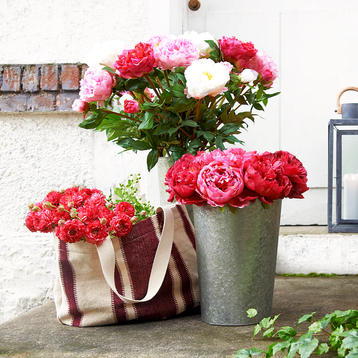 Tige de Pivoine Jardin - Image 8