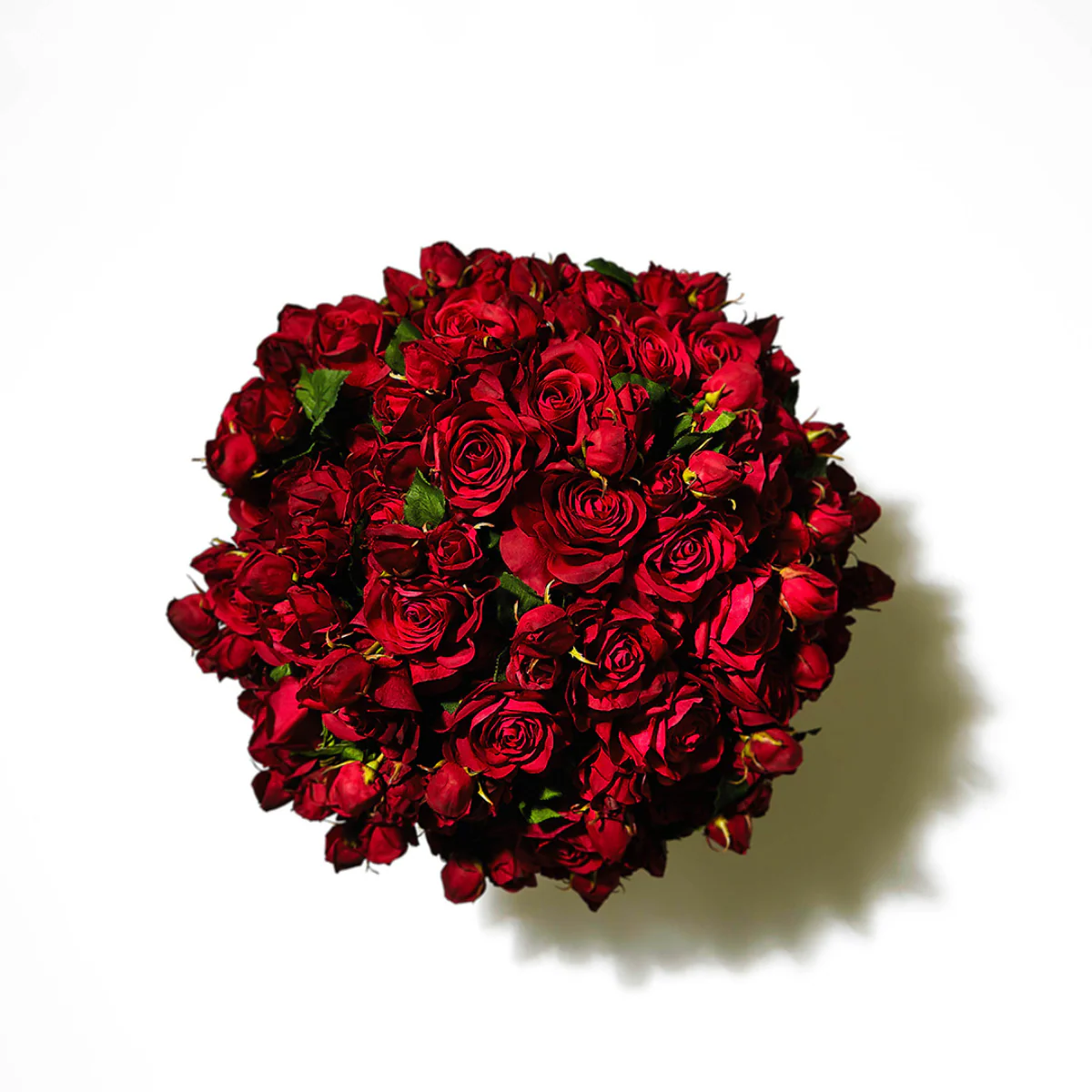 Tige de Rose Avec Bourgeon - Image 11