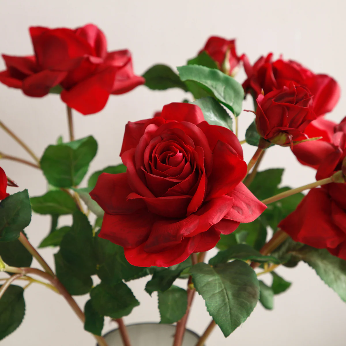 Tige de Rose Avec Bourgeon - Image 14