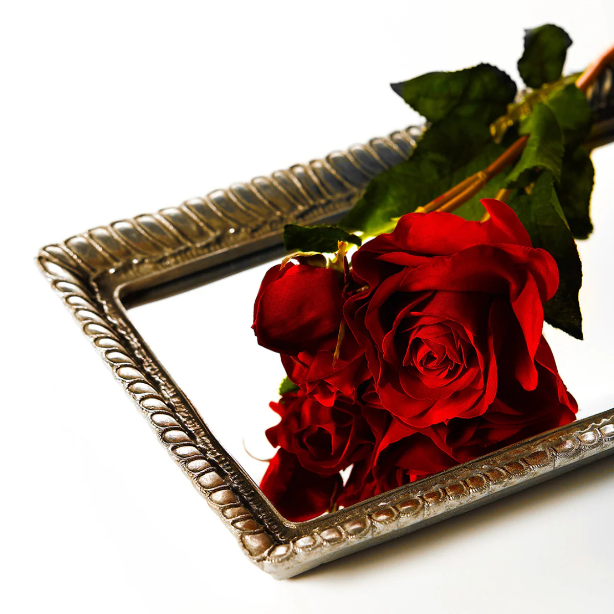 Tige de Rose Avec Bourgeon - Image 15