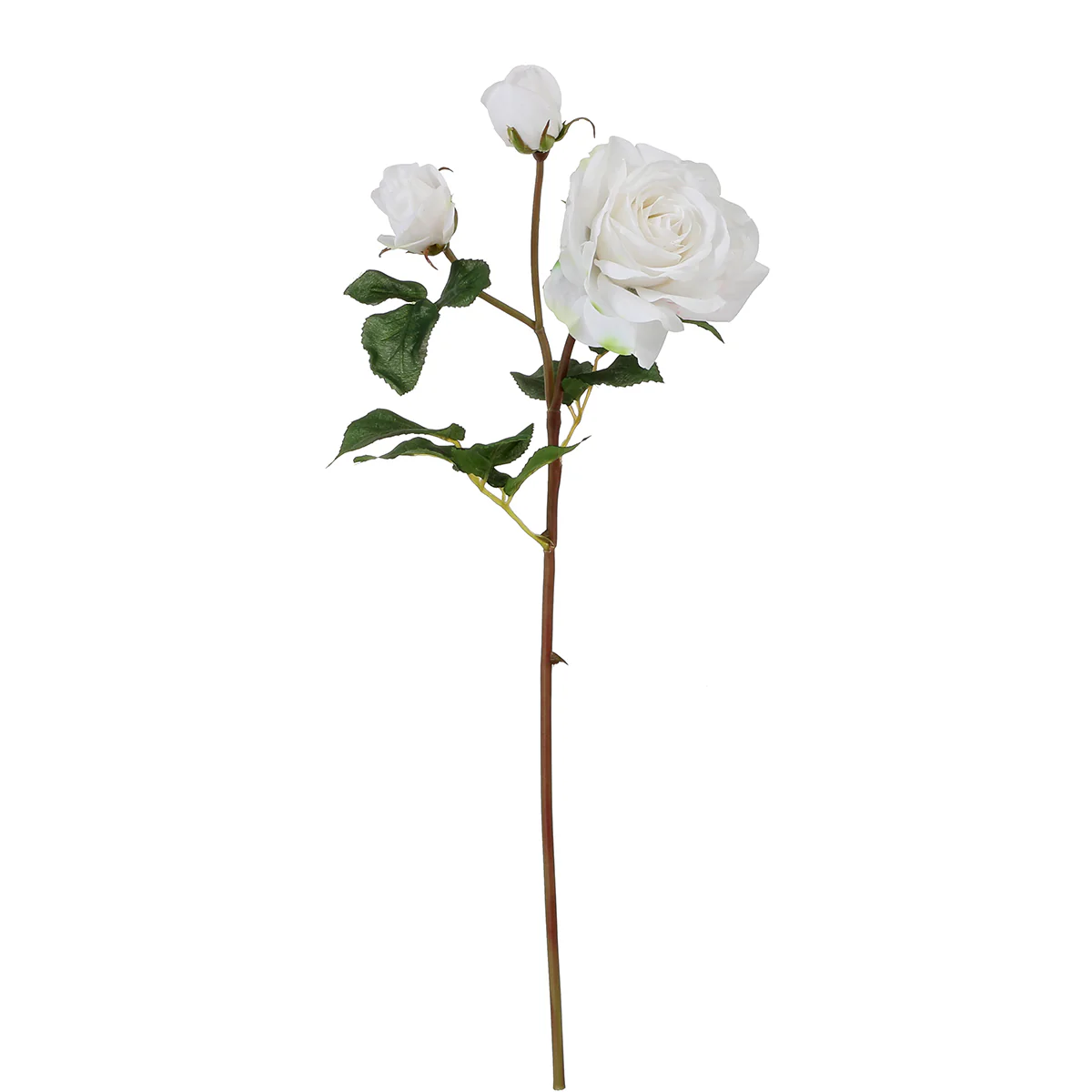 Tige de Rose Avec Bourgeon - Image 4