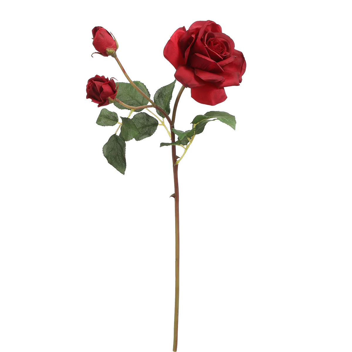 Tige de Rose Avec Bourgeon - Image 9