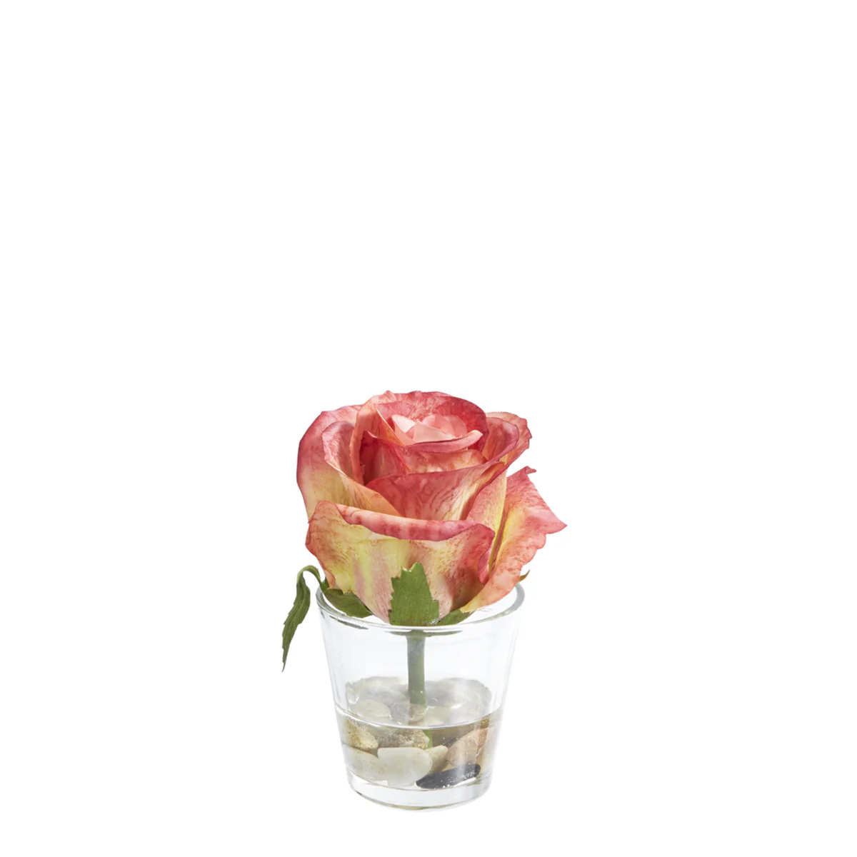 Rose en Illusion d'Eau Stones - Image 3