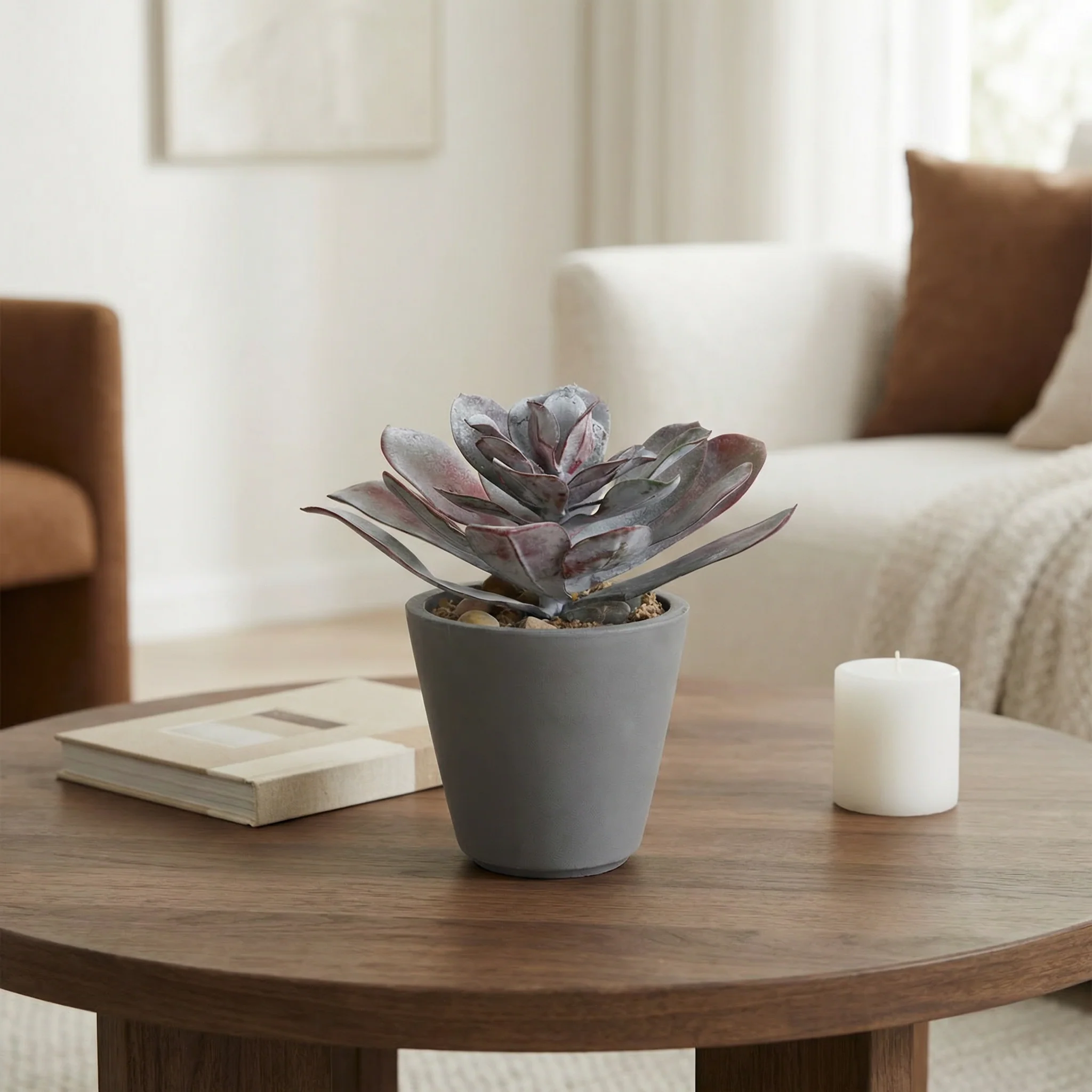 Succulente en Pot Maya - Image 2