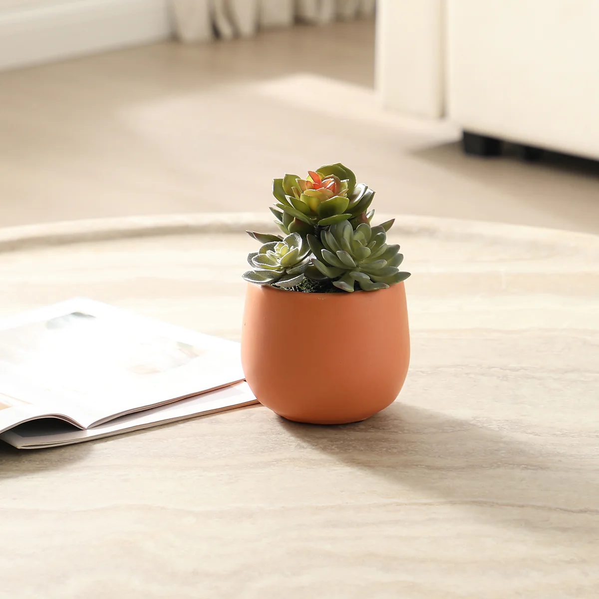 Succulente Artificielle en Pot - Image 4