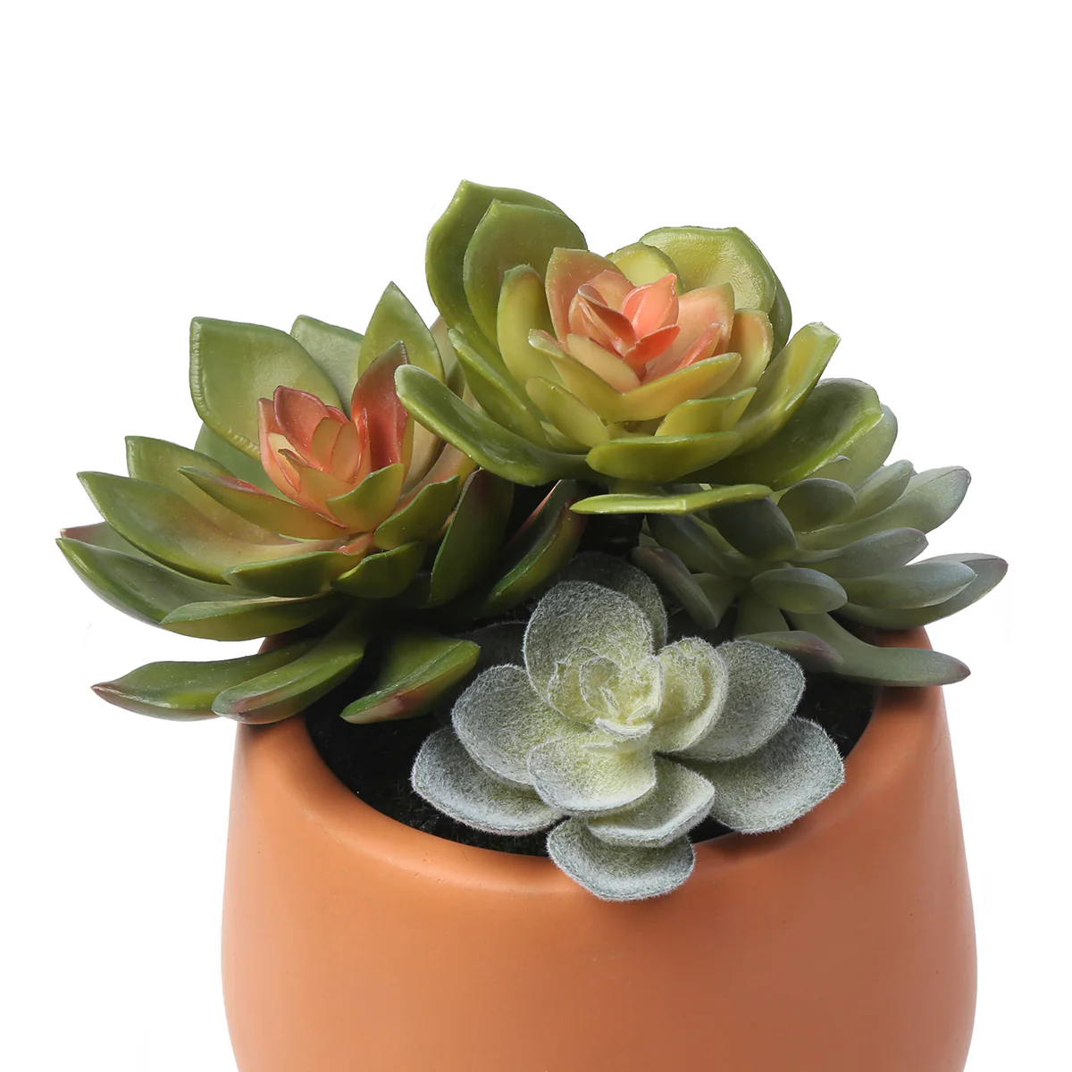 Succulente Artificielle en Pot - Image 5