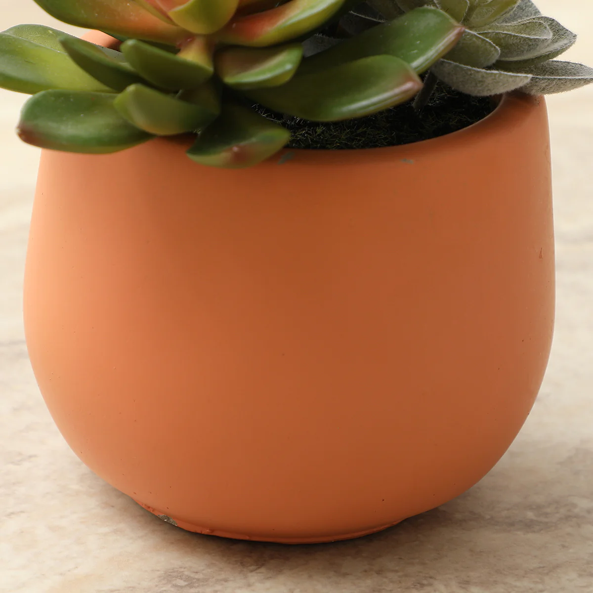 Succulente Artificielle en Pot - Image 6