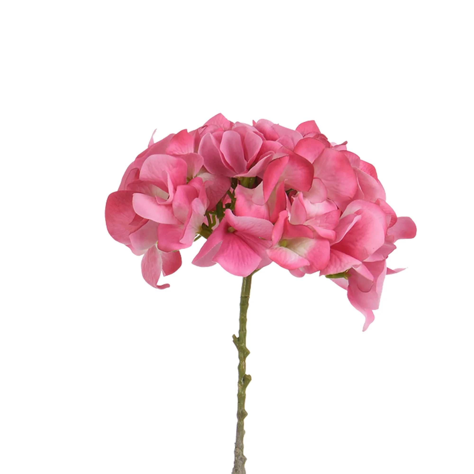 Tige d’Hortensia 63 cm - Image 12