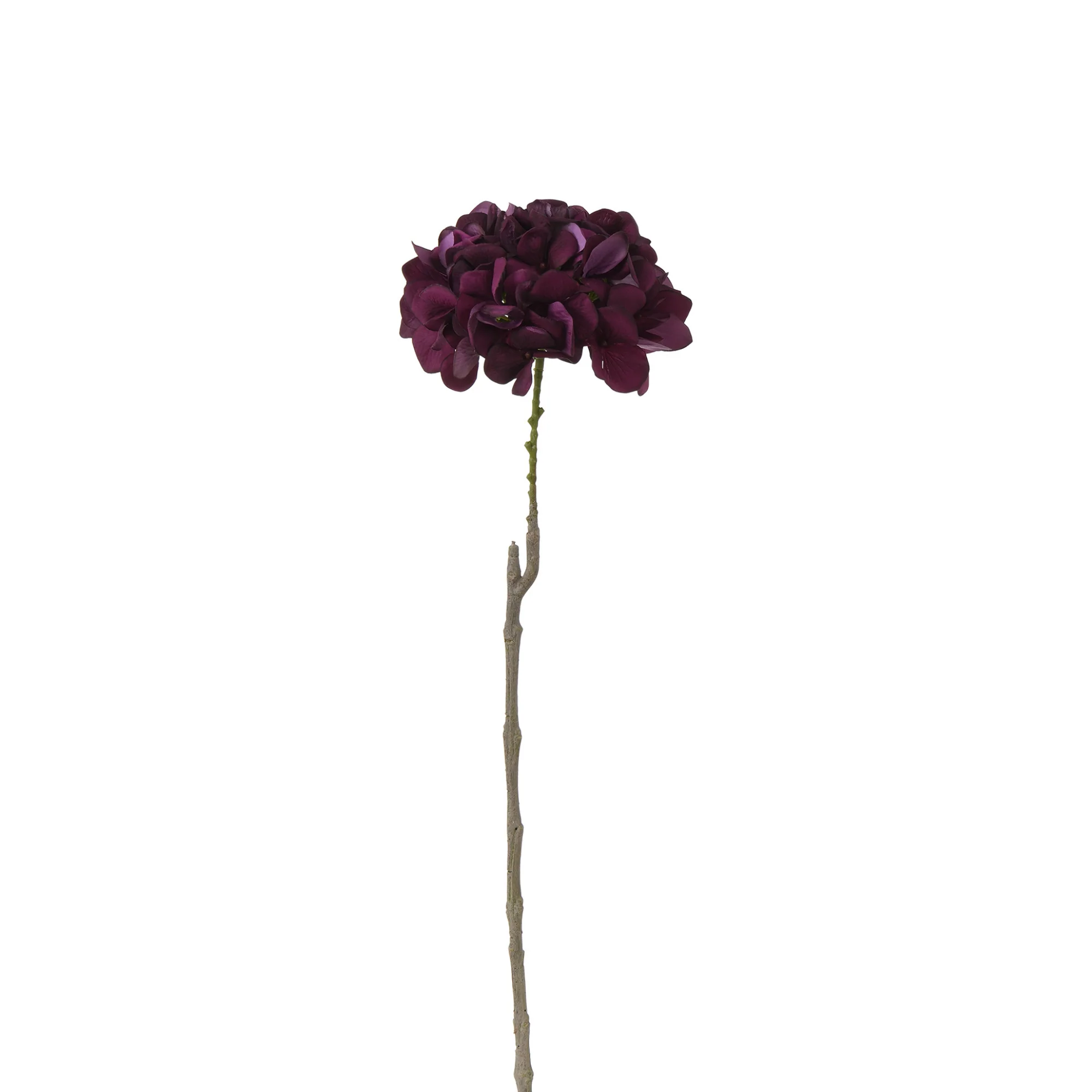 Tige d’Hortensia 63 cm - Image 17