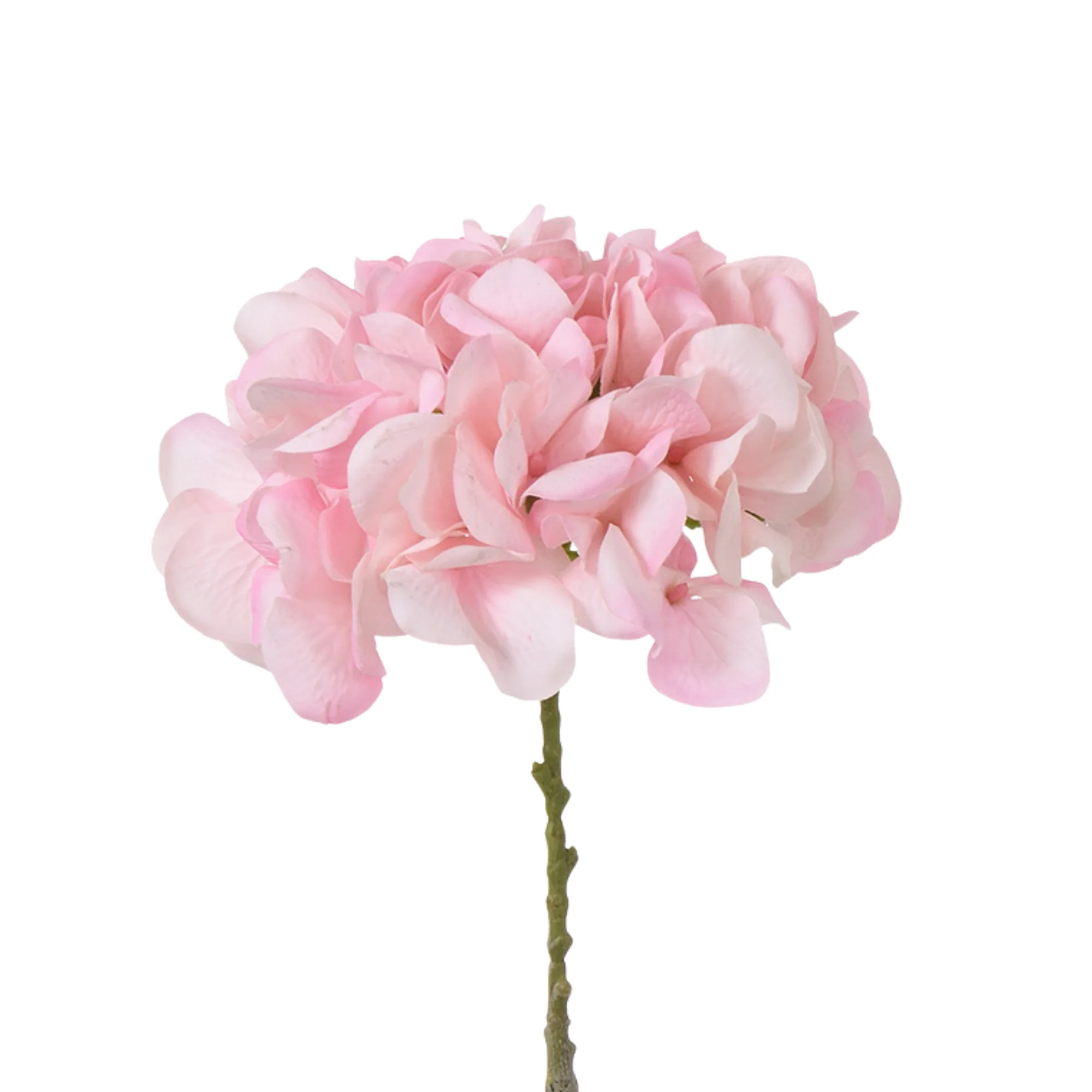 Tige d’Hortensia 63 cm - Image 7