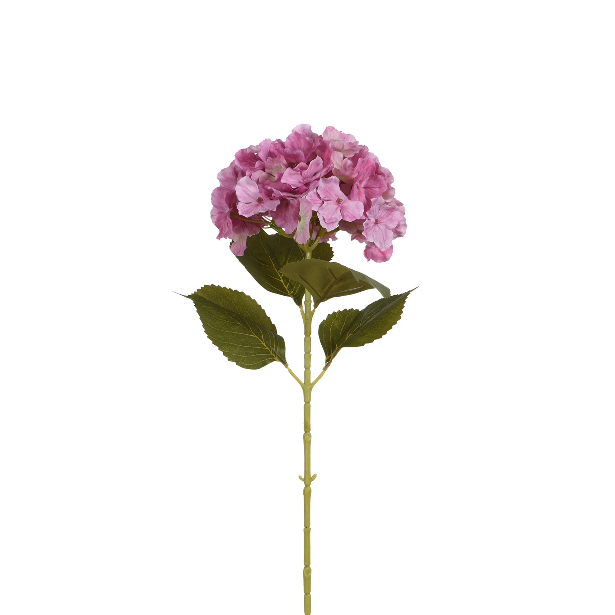 Tige d’Hortensia 68 cm - Image 10