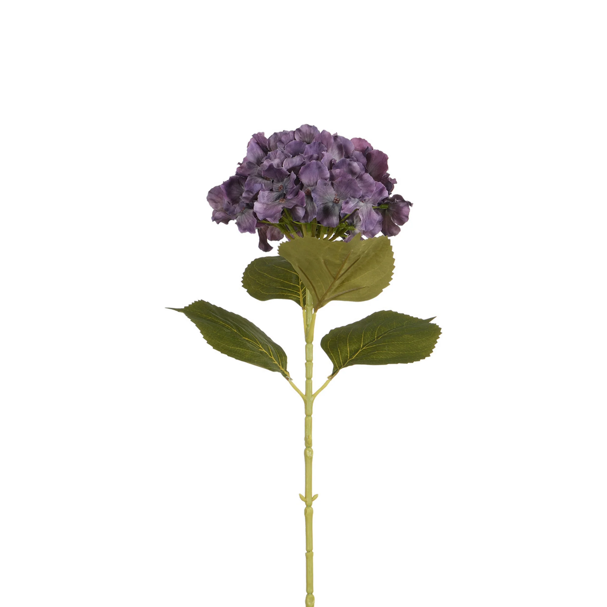 Tige d’Hortensia 68 cm - Image 17