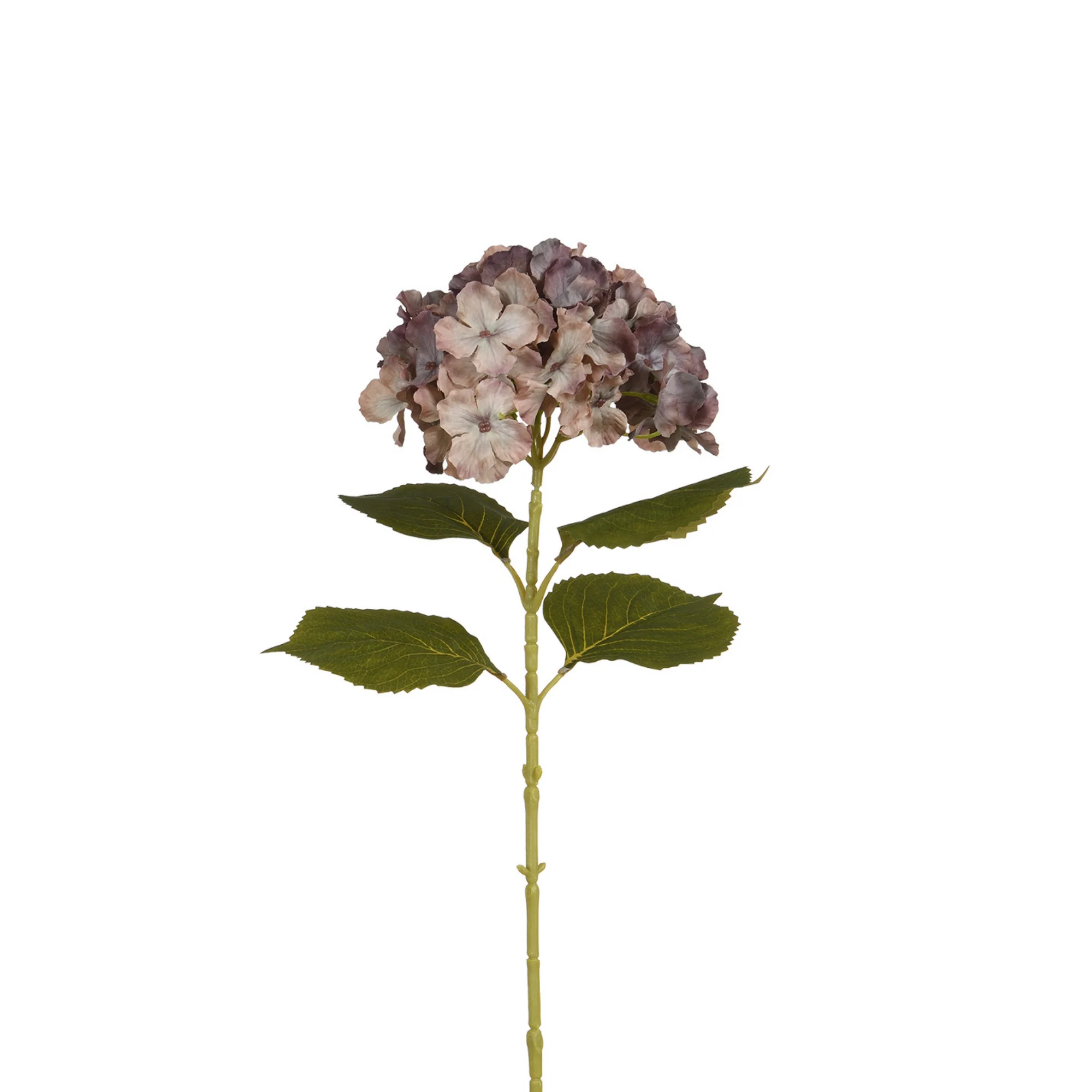 Tige d’Hortensia 68 cm - Image 4