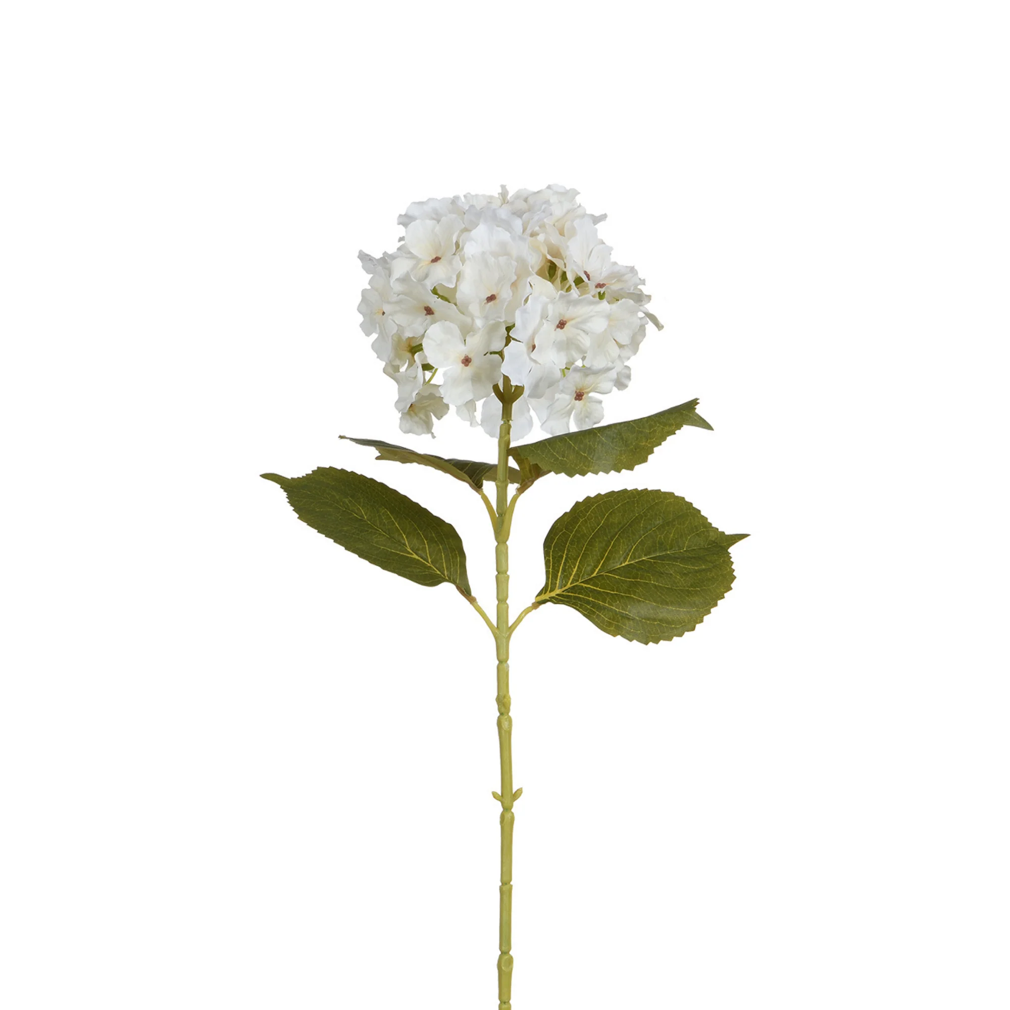 Tige d’Hortensia 68 cm - Image 7