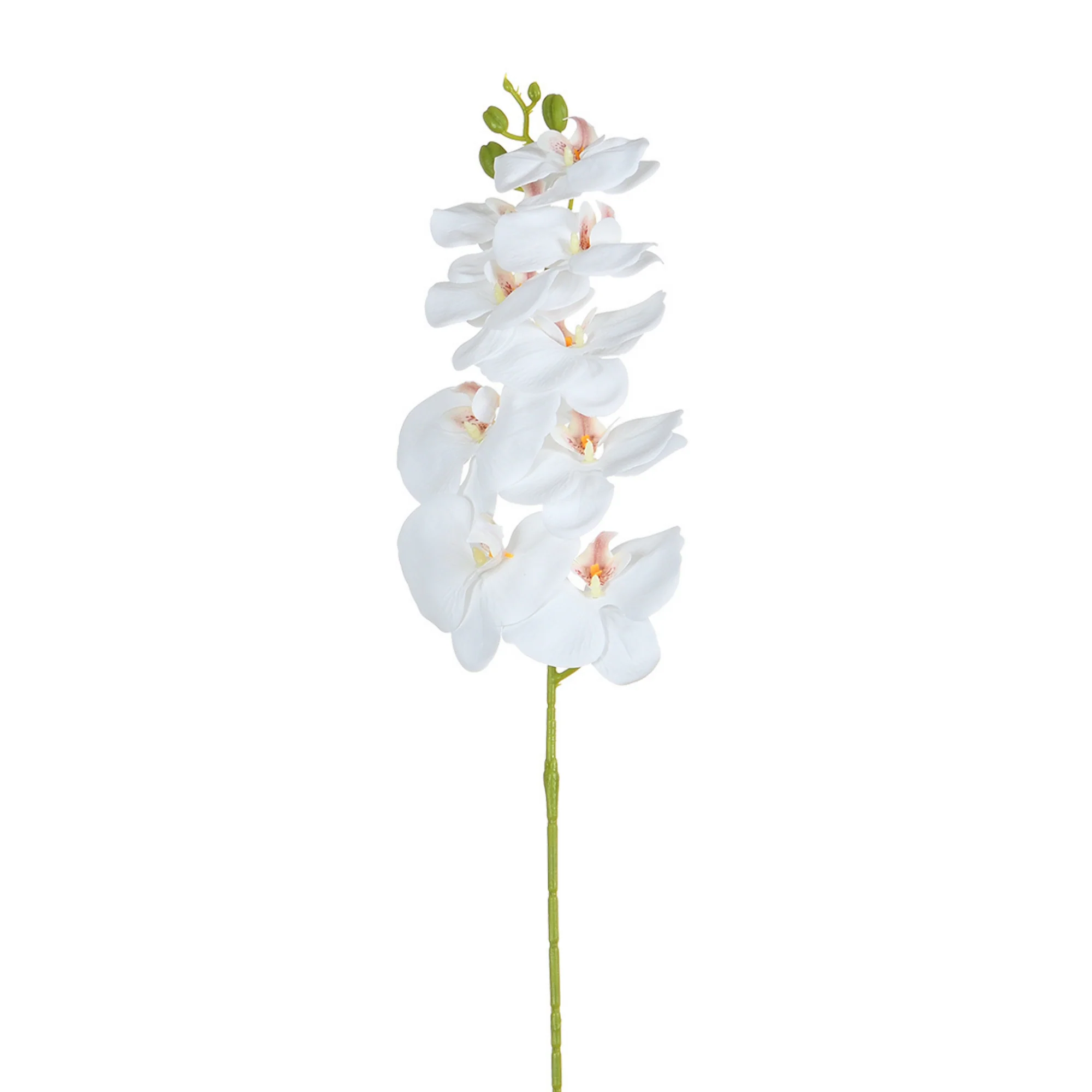 Tige d’Orchidée 90 cm - Image 4