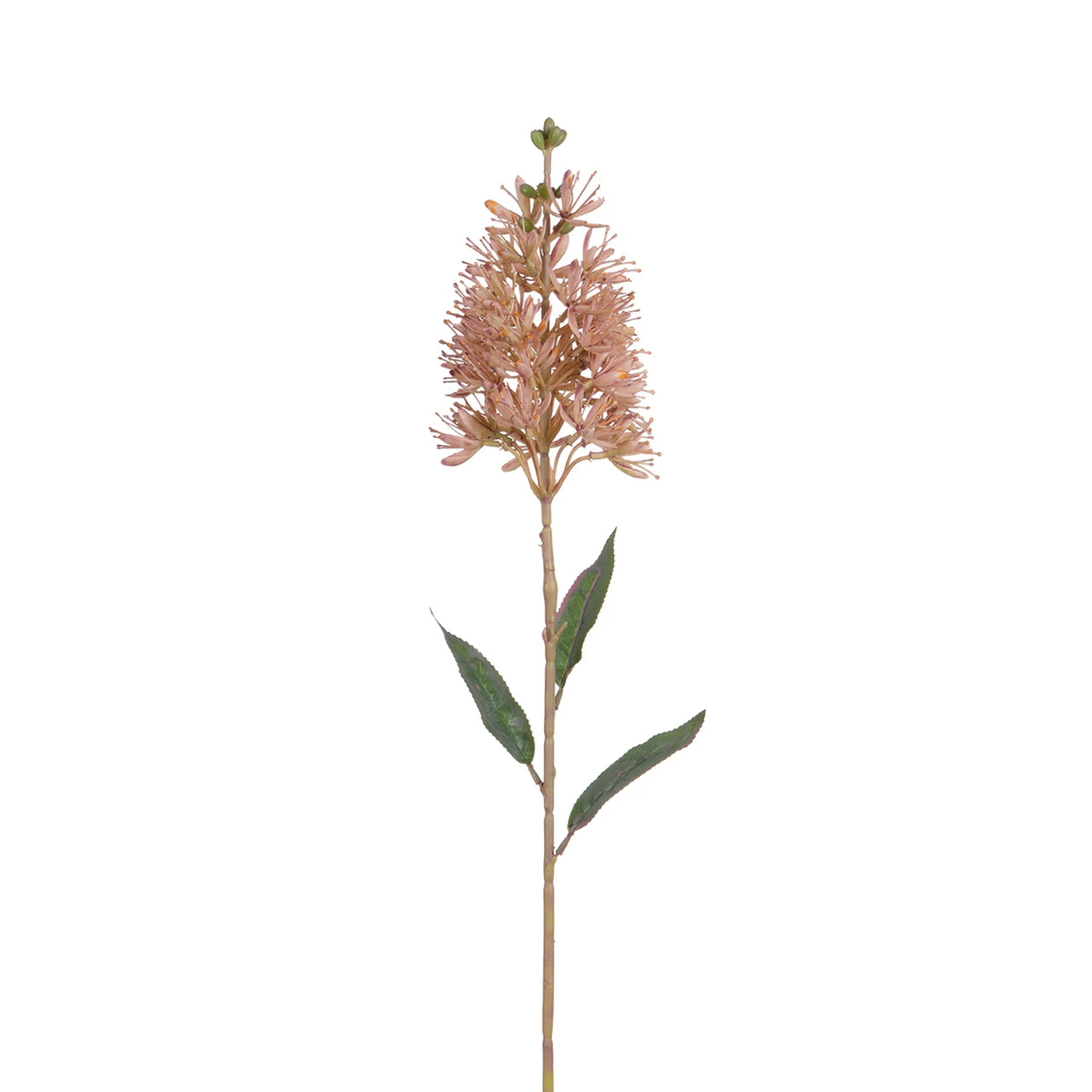 Tige d'Allium 78 cm - Image 4