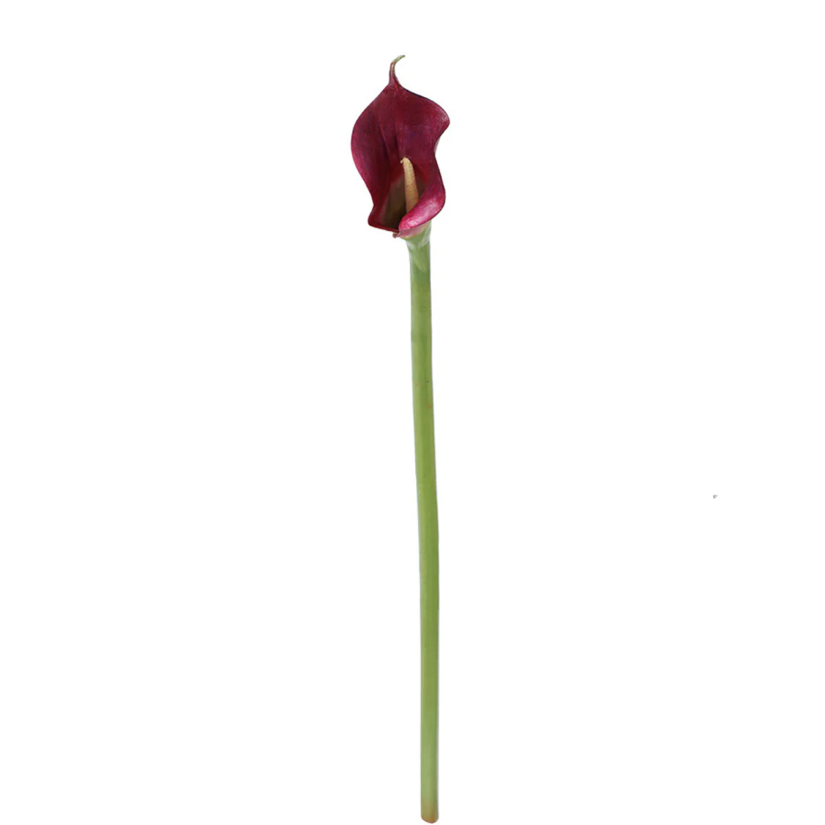 Tige d'Arum spathe court Premium 75cm - Image 10