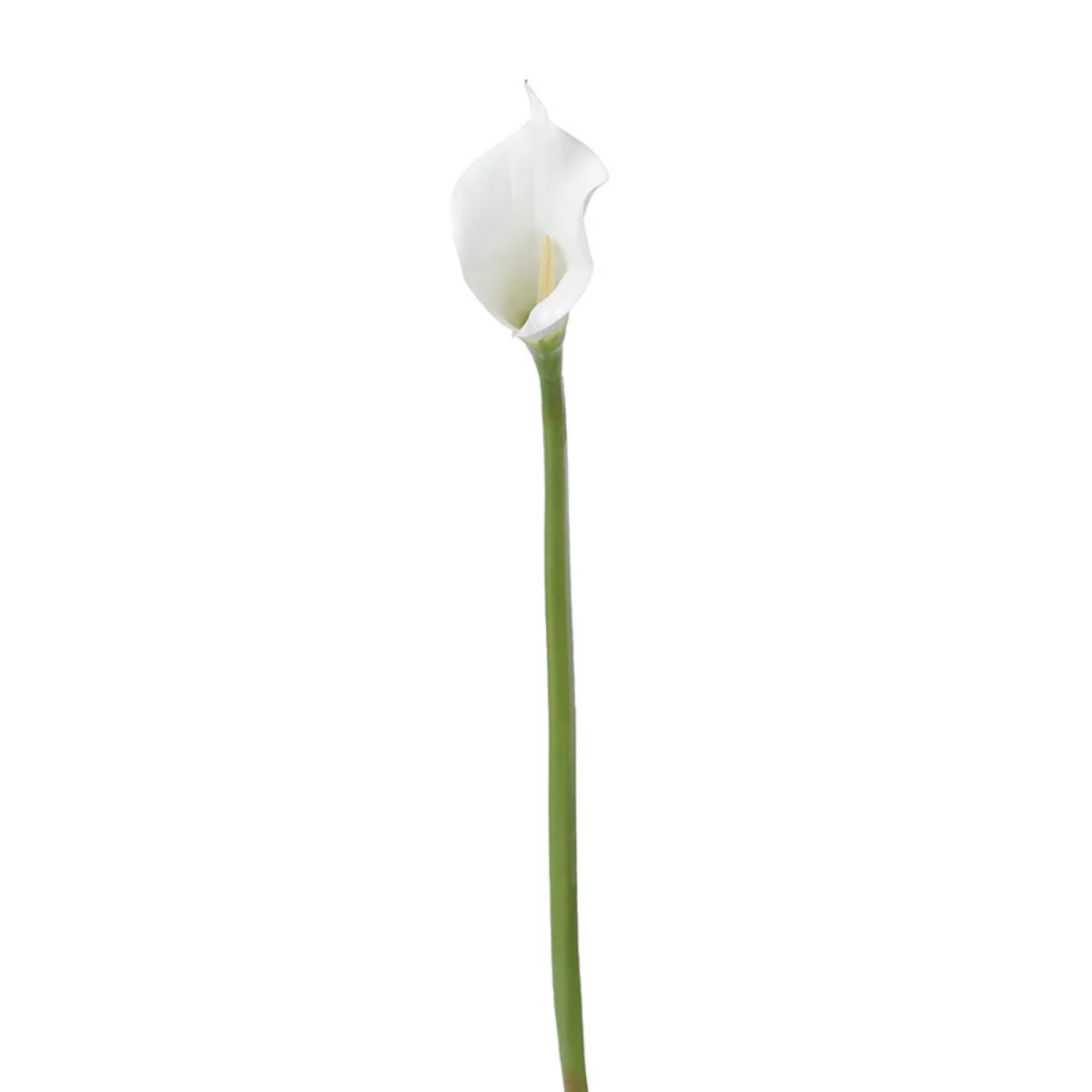 Tige d'Arum spathe court Premium 75cm - Image 5