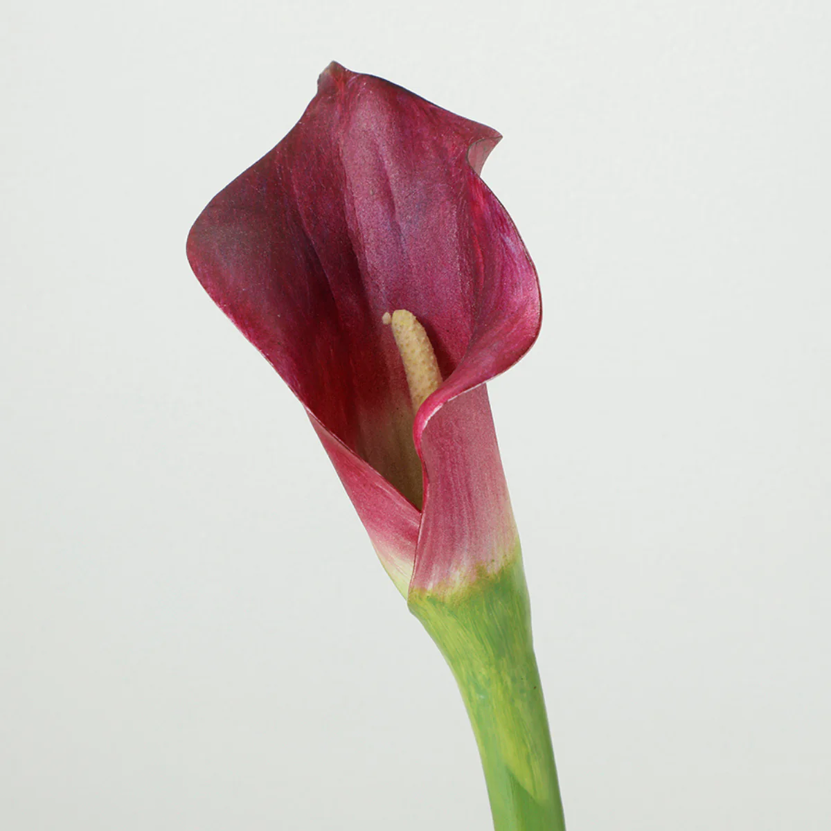 Tige d'Arum spathe court Premium 75cm - Image 8