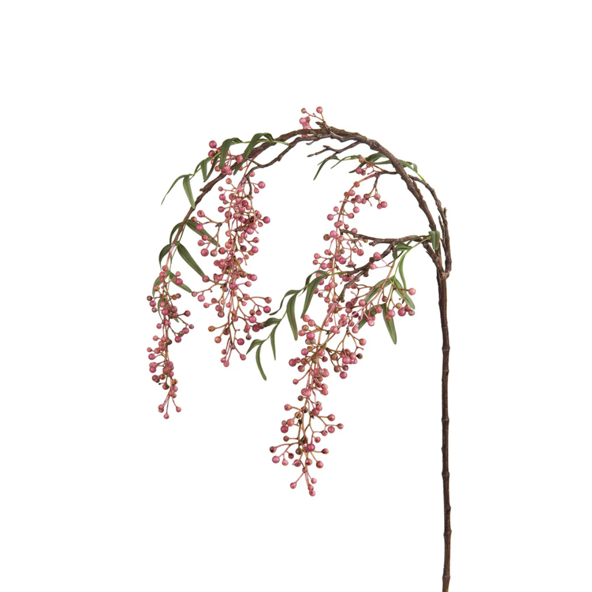 Branche de baies de poivrier - Image 3