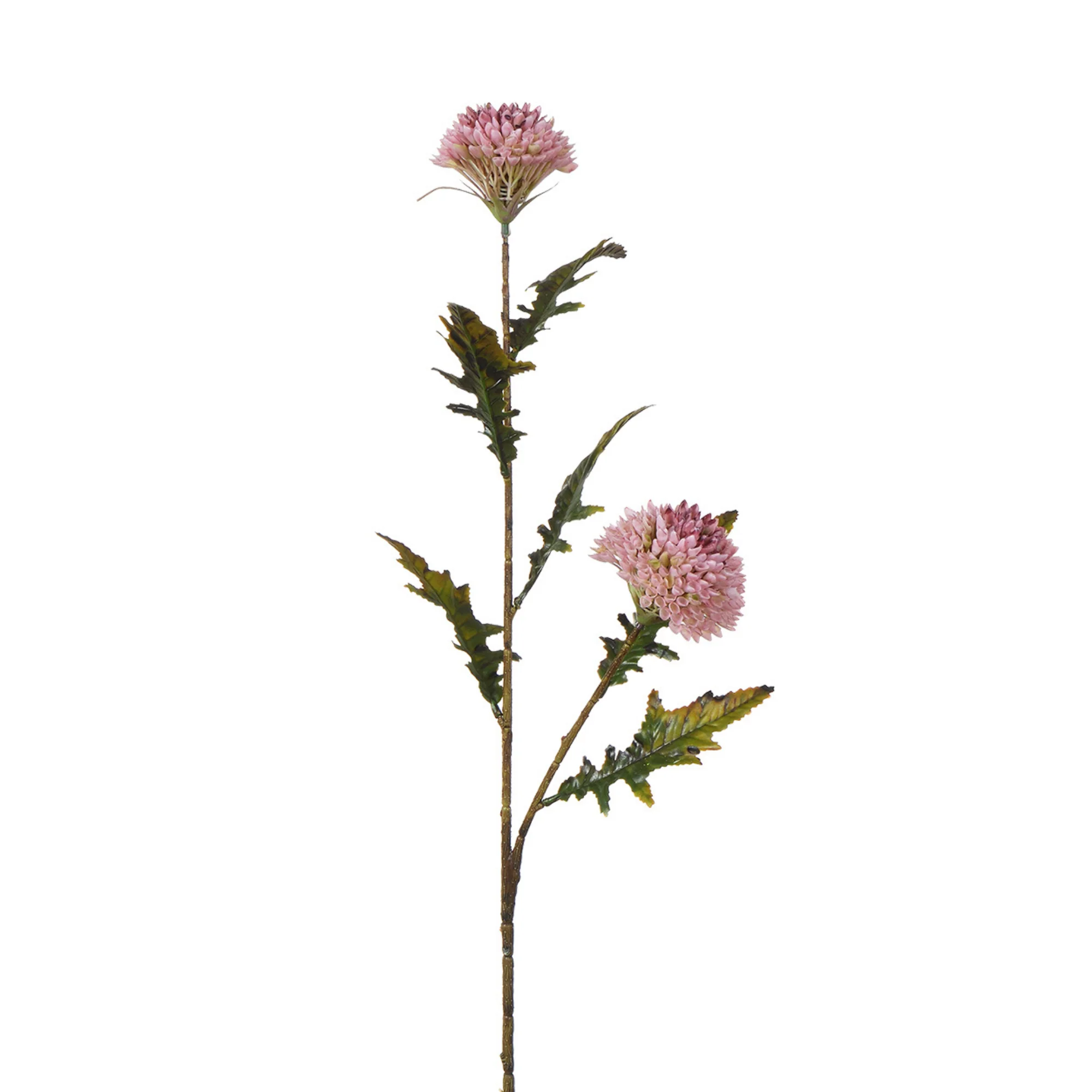 Tige de Chardon 78 cm - Image 4