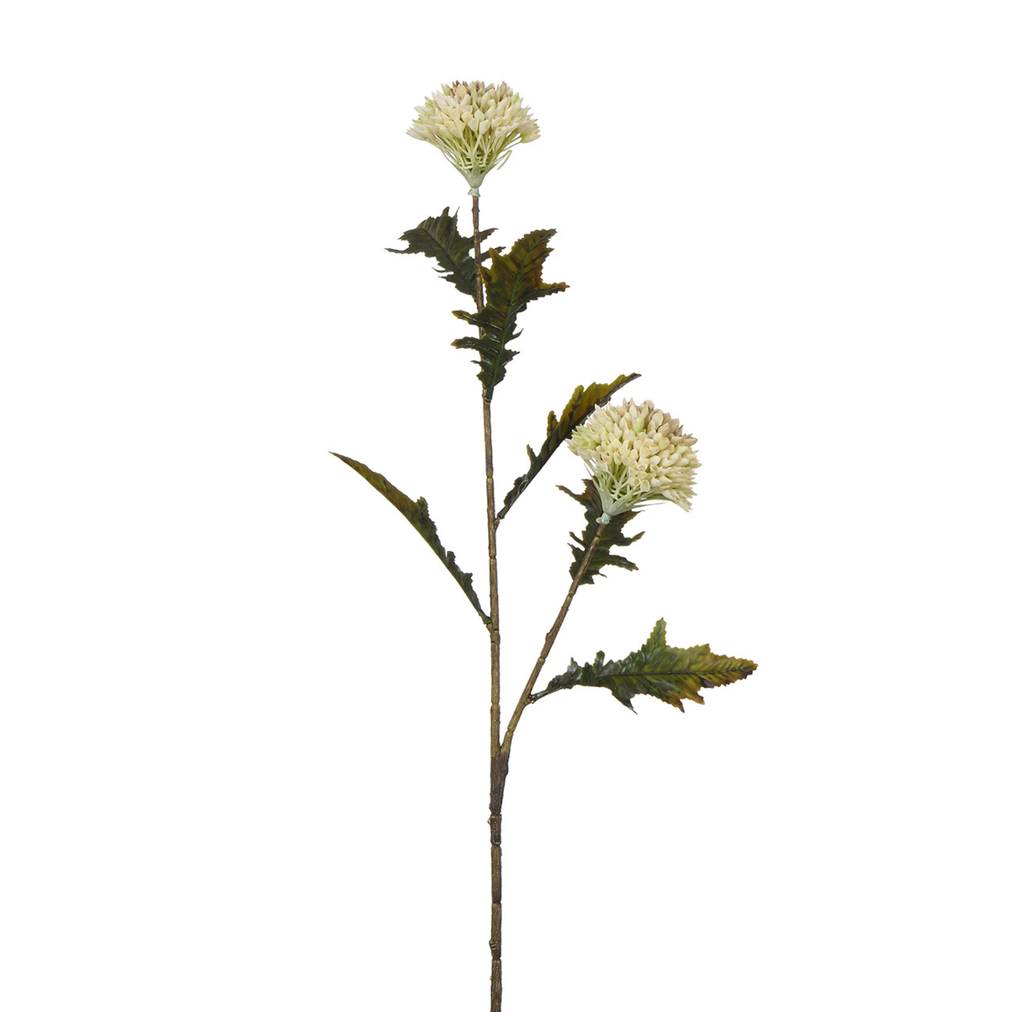 Tige de Chardon 78 cm - Image 7