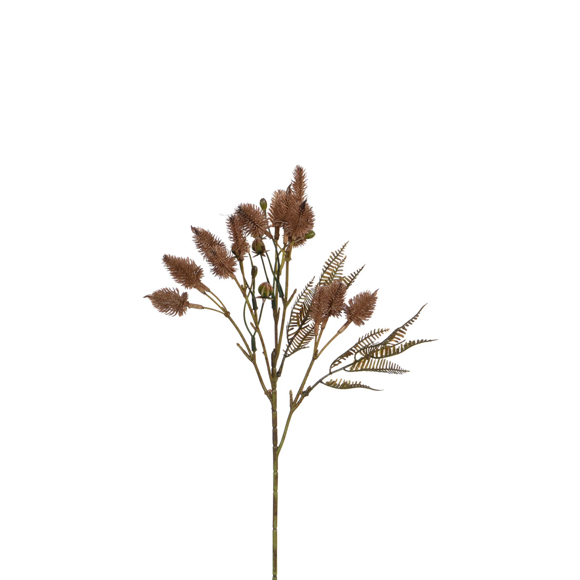 Tige de Chardon 50 cm - Image 7
