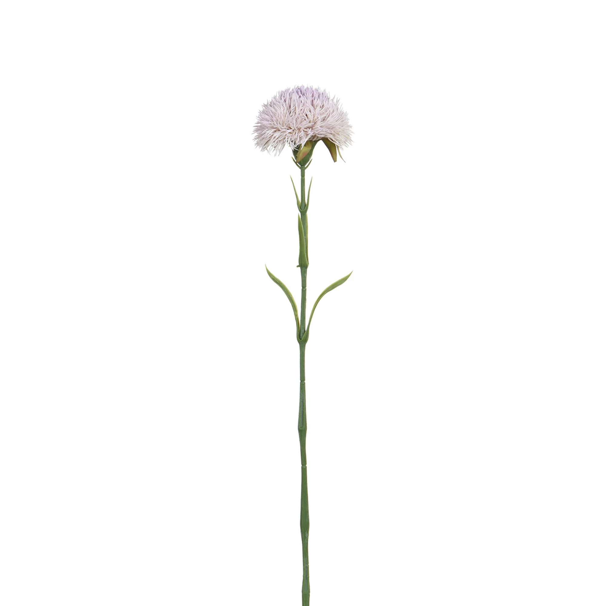 Tige de Chardon 60 cm - Image 7