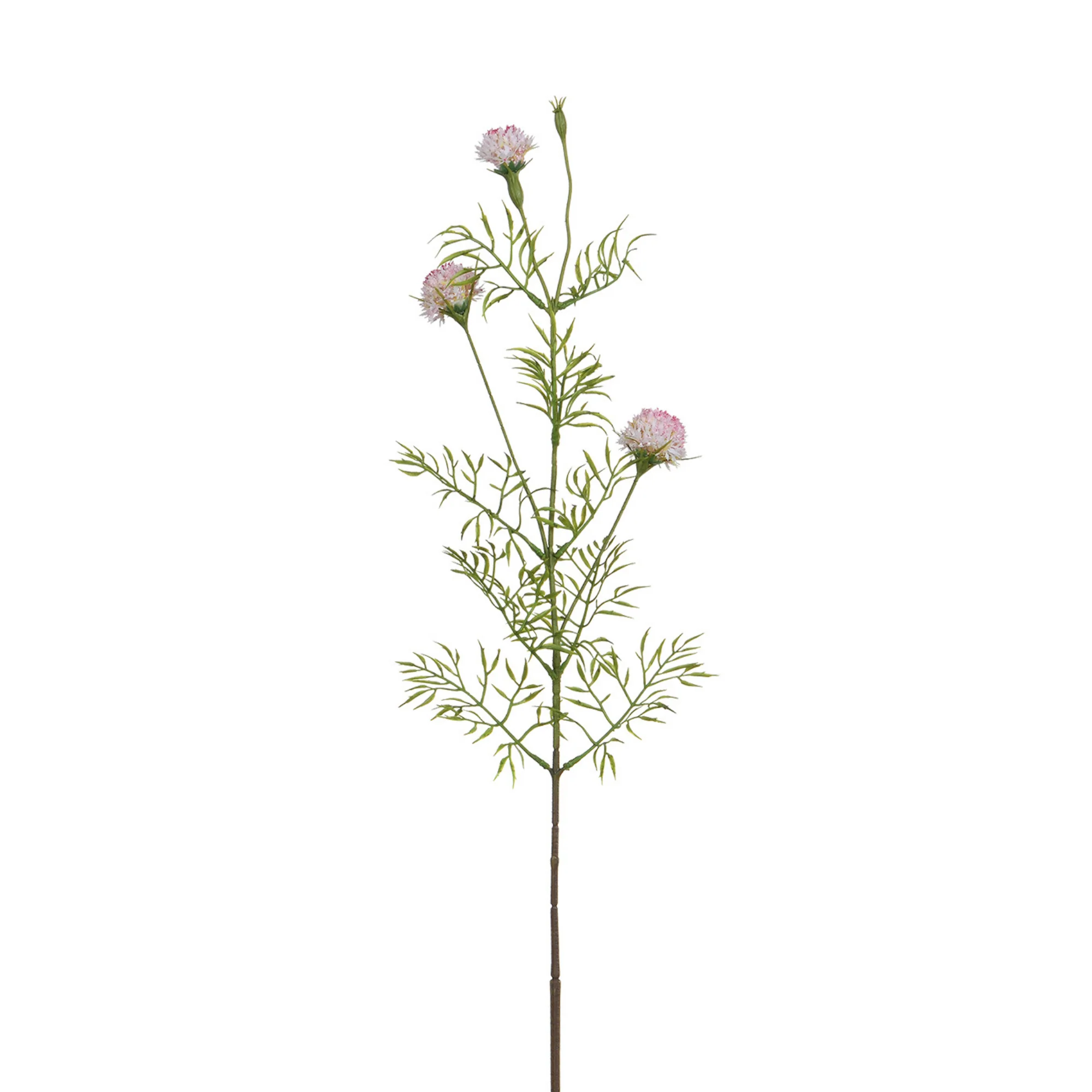 Tige de Chrysanthème Ping Pong 78 cm - Image 10