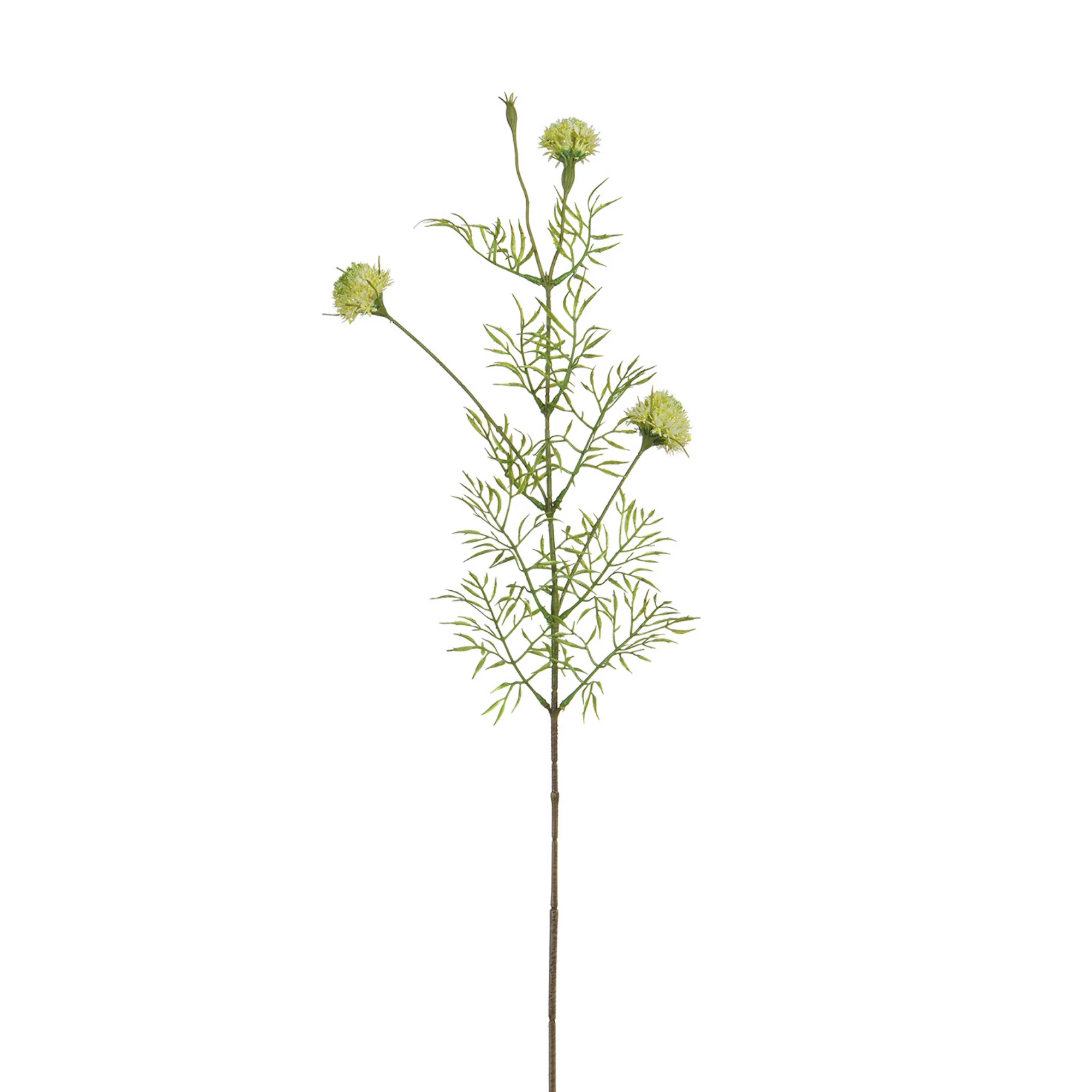 Tige de Chrysanthème Ping Pong 78 cm - Image 13