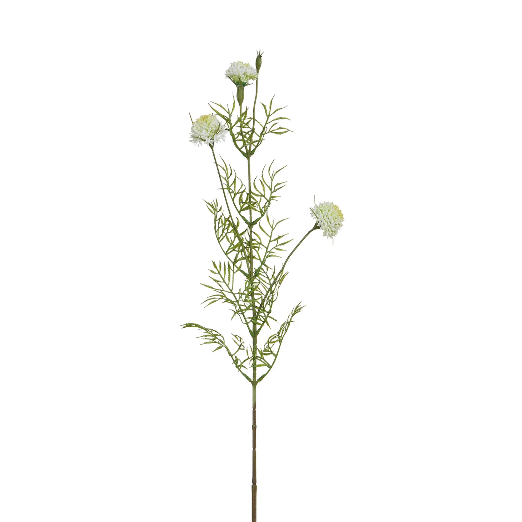 Tige de Chrysanthème Ping Pong 78 cm - Image 4