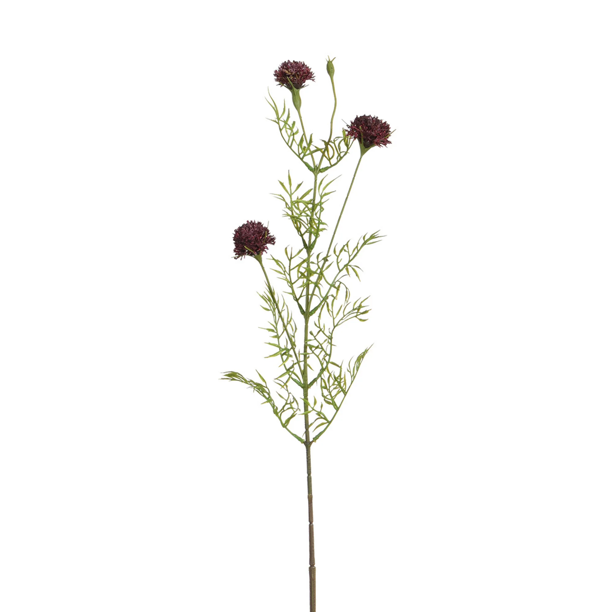 Tige de Chrysanthème Ping Pong 78 cm - Image 7
