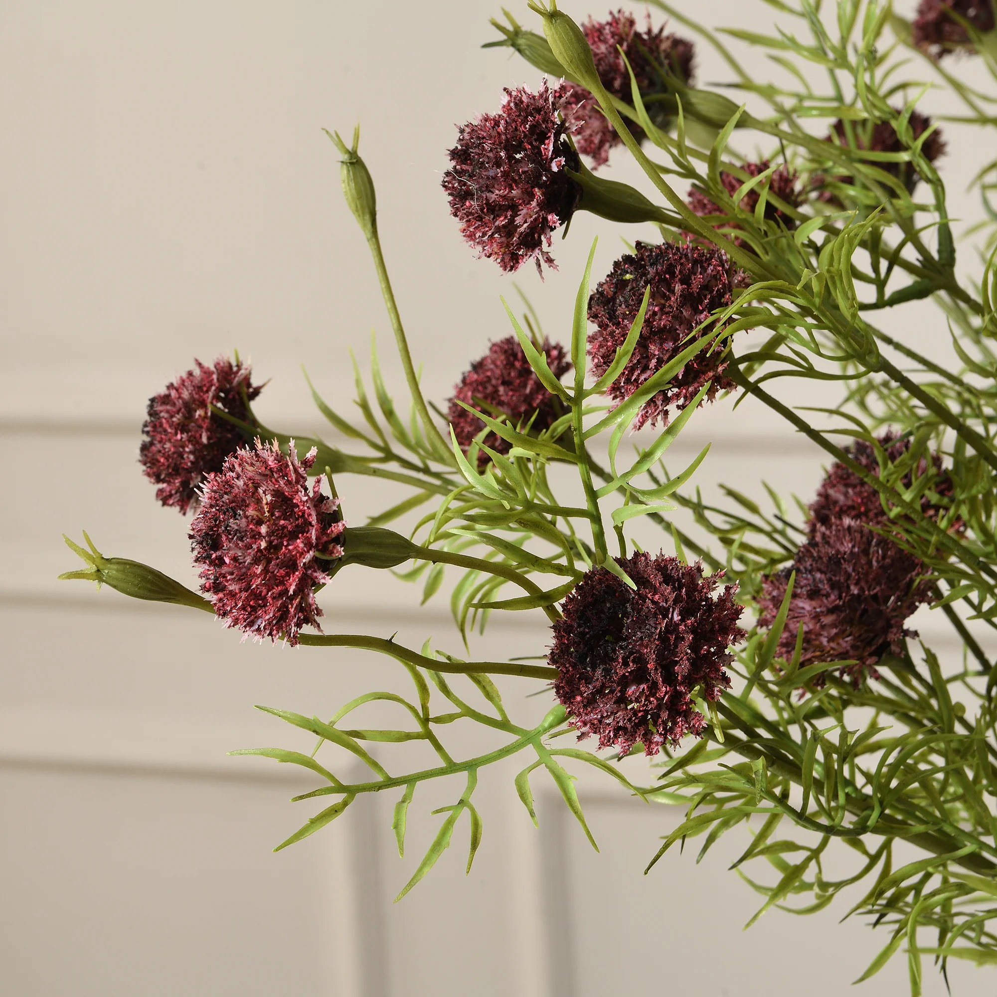 Tige de Chrysanthème Ping Pong 78 cm - Image 9
