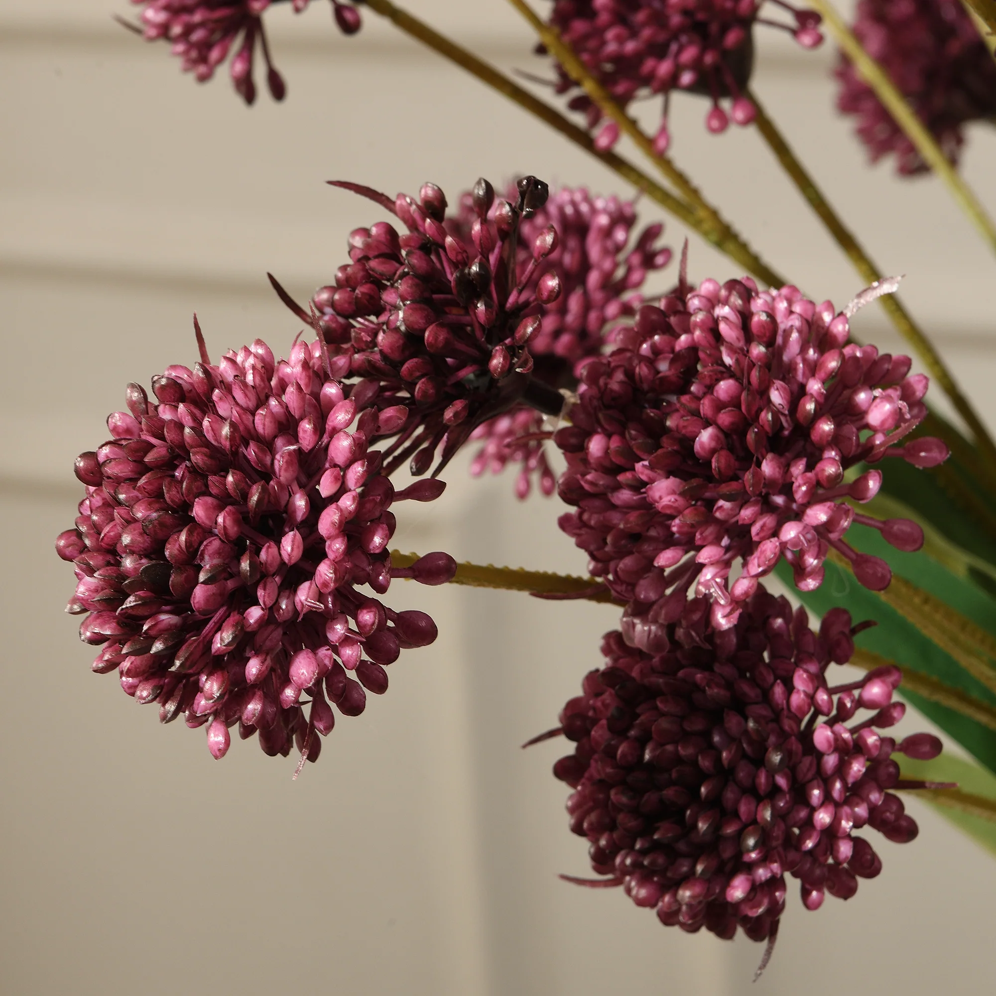 Tige de Chrysanthème Ping Pong 60 cm - Image 12