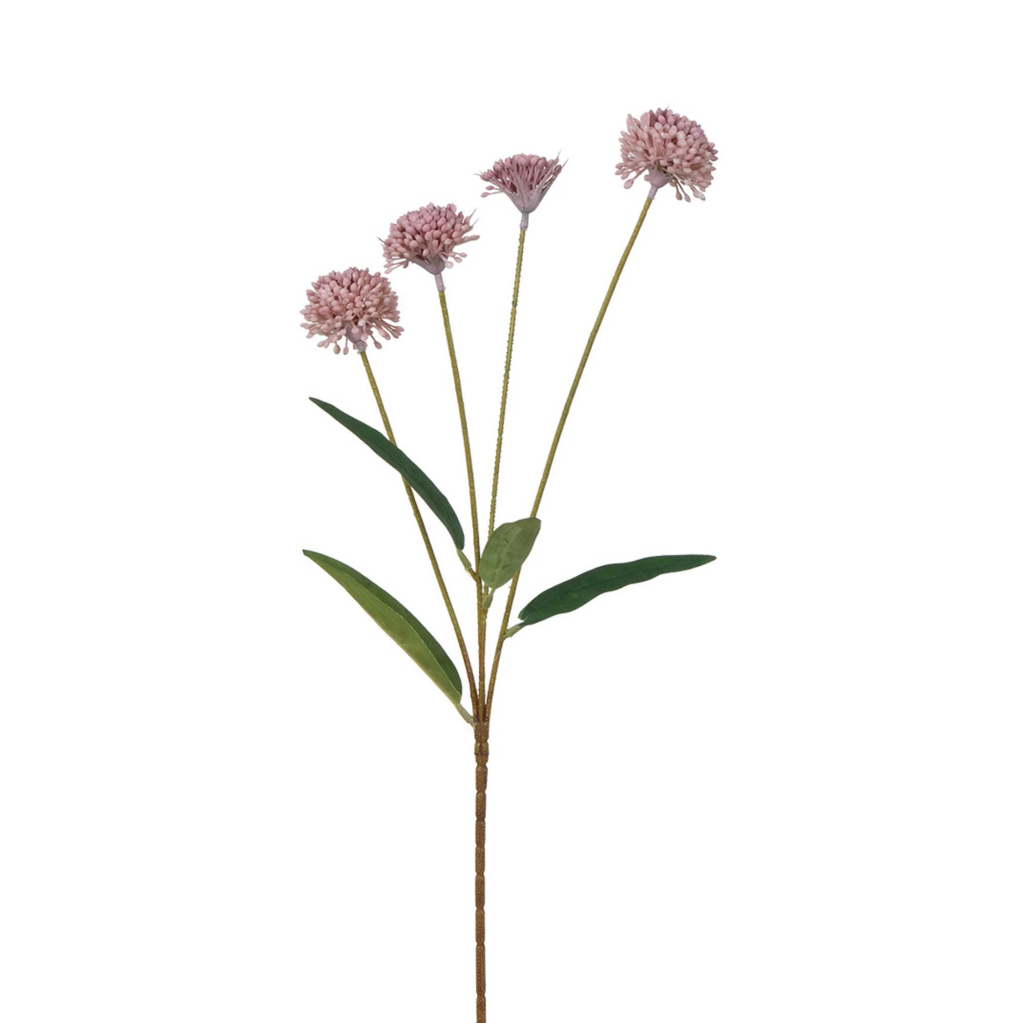 Tige de Chrysanthème Ping Pong 60 cm - Image 4