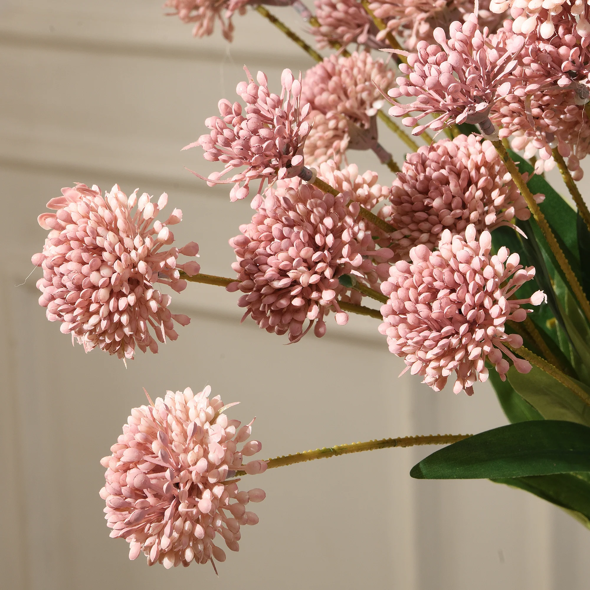 Tige de Chrysanthème Ping Pong 60 cm - Image 6
