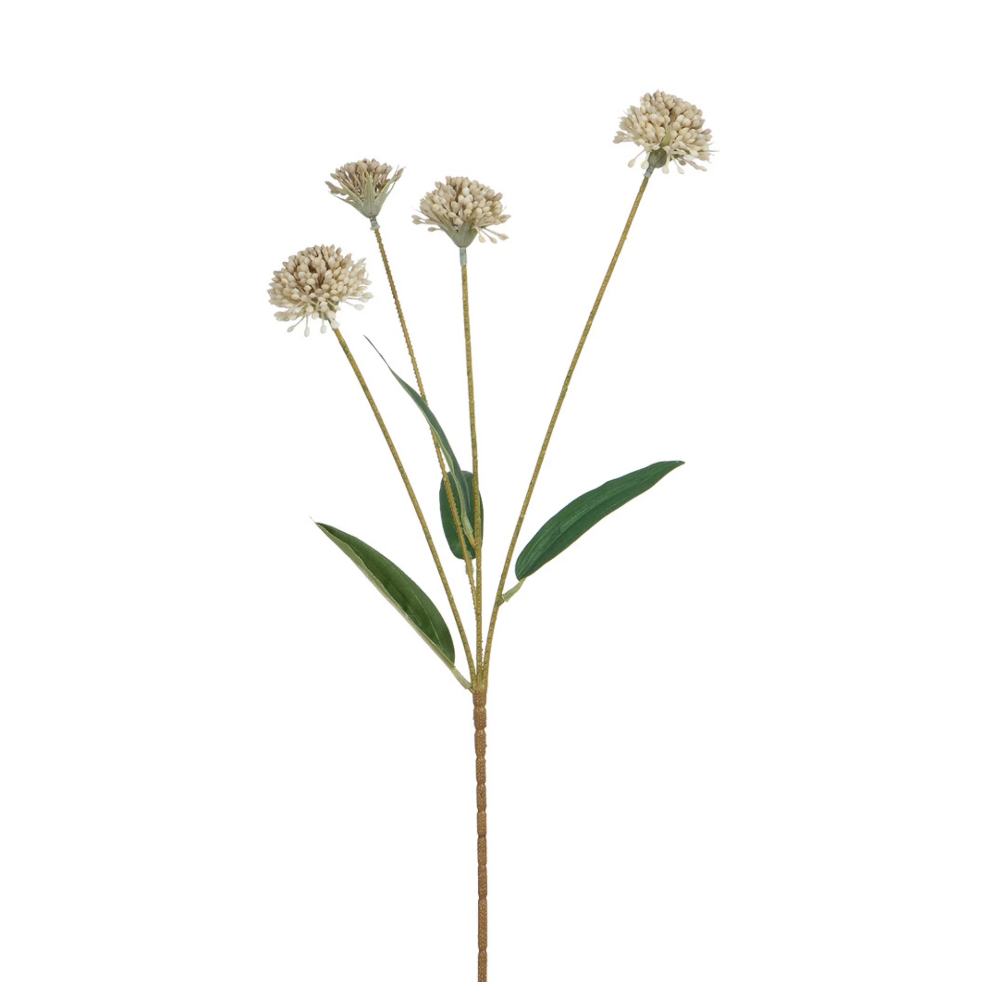 Tige de Chrysanthème Ping Pong 60 cm - Image 7