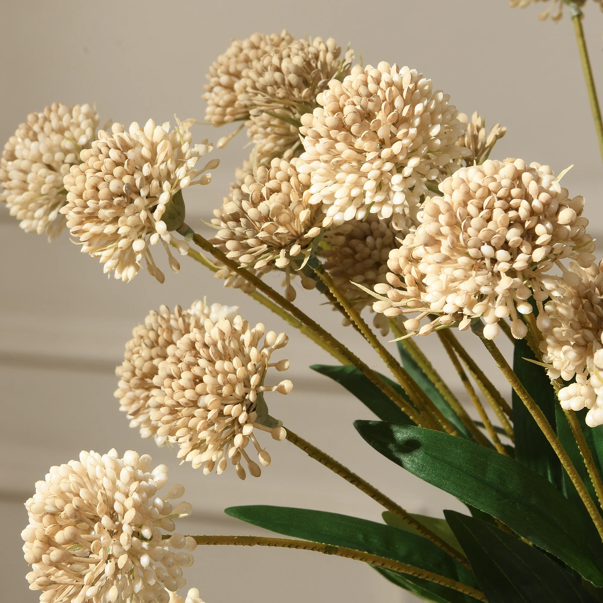 Tige de Chrysanthème Ping Pong 60 cm - Image 9