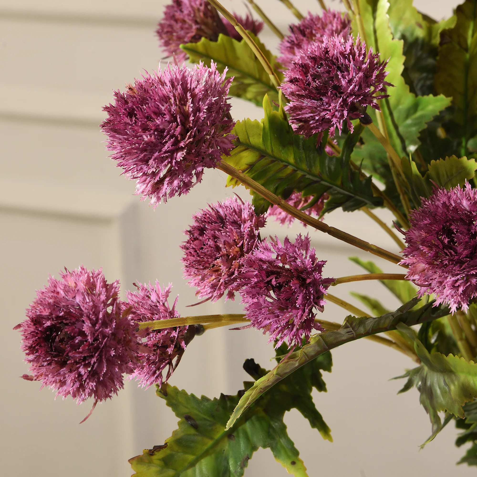 Tige de Chrysanthème Ping Pong 62 cm - Image 11